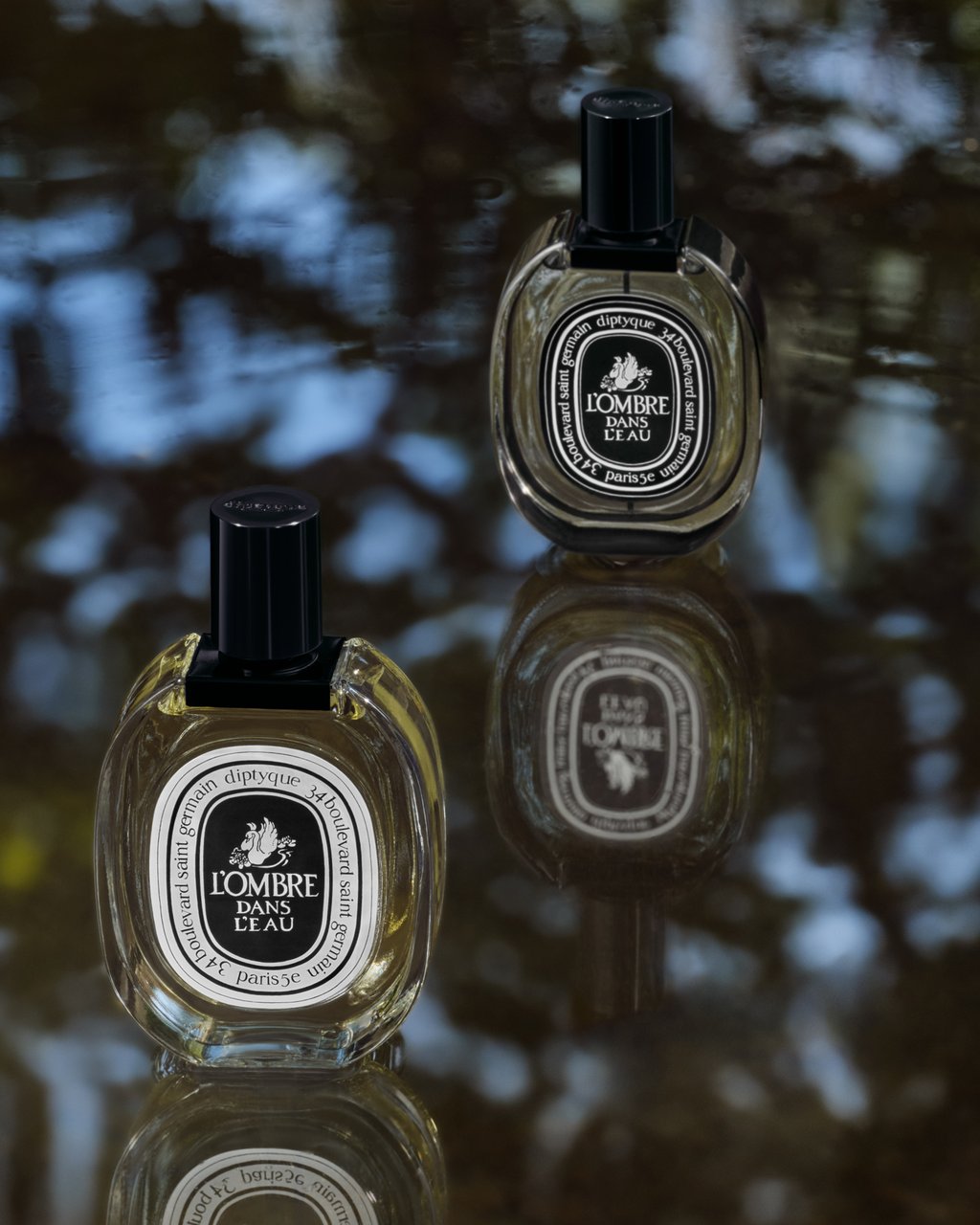 L'Ombre dans l'Eau – Diptyque