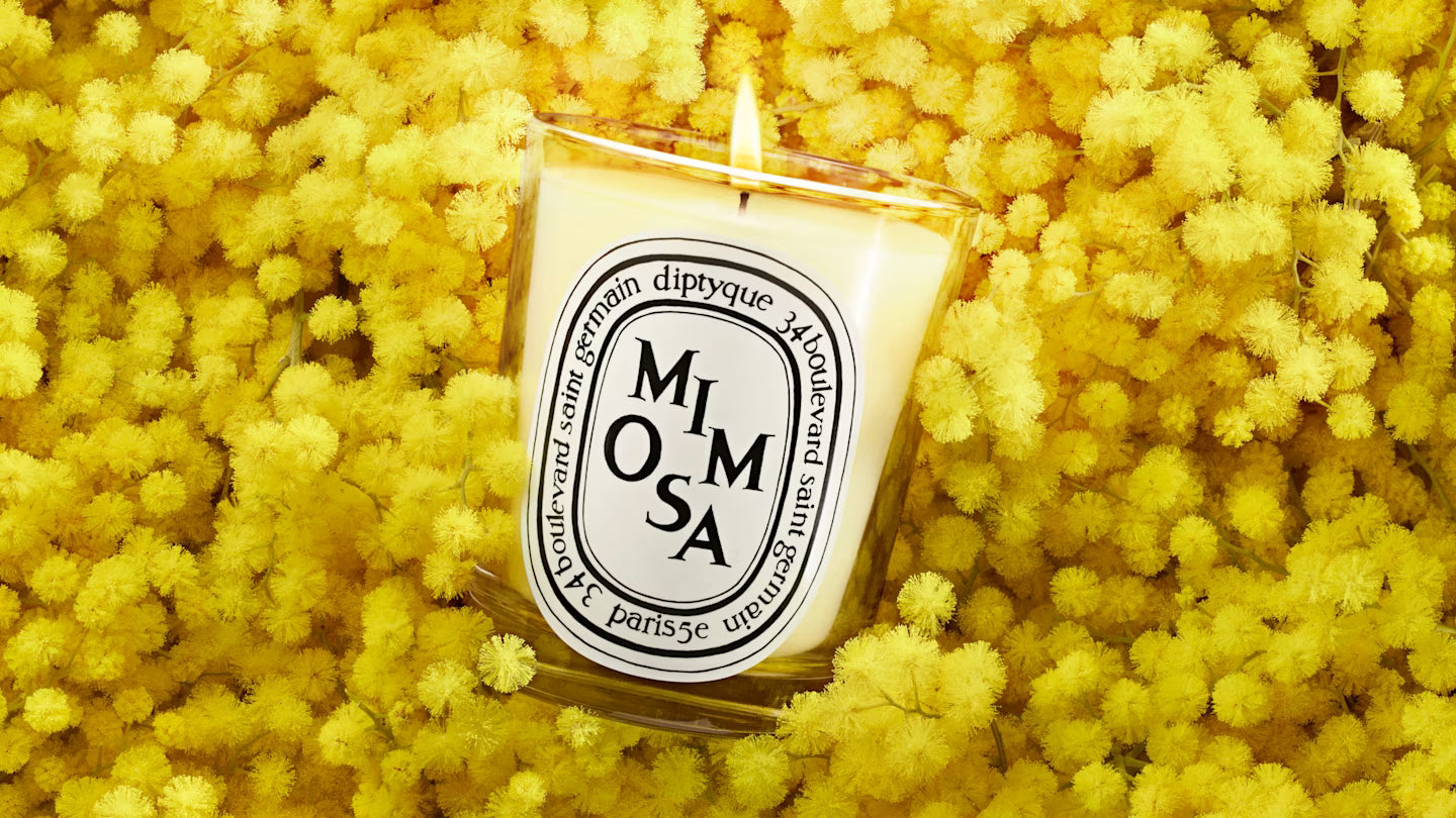 Mimosa – Diptyque