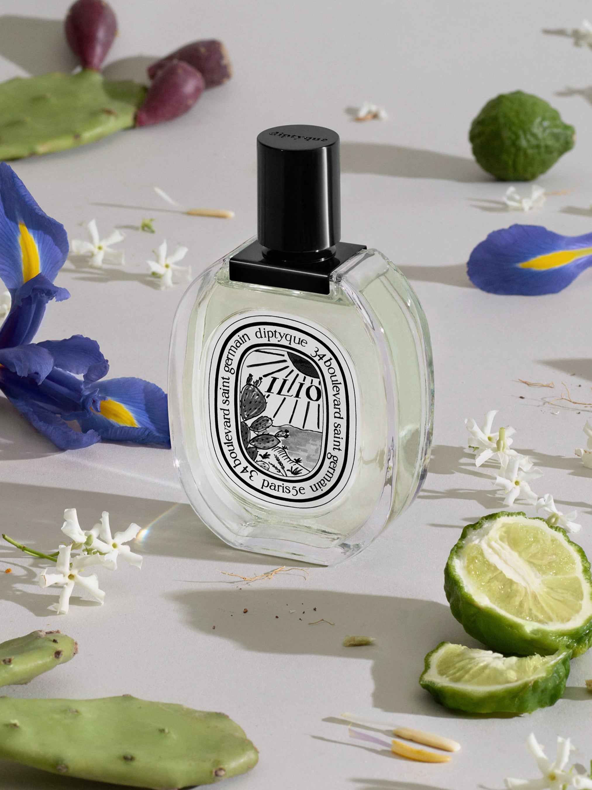 ディプティック　イリオ Ilio Eau de Toilette 100ml | Diptyque Paris