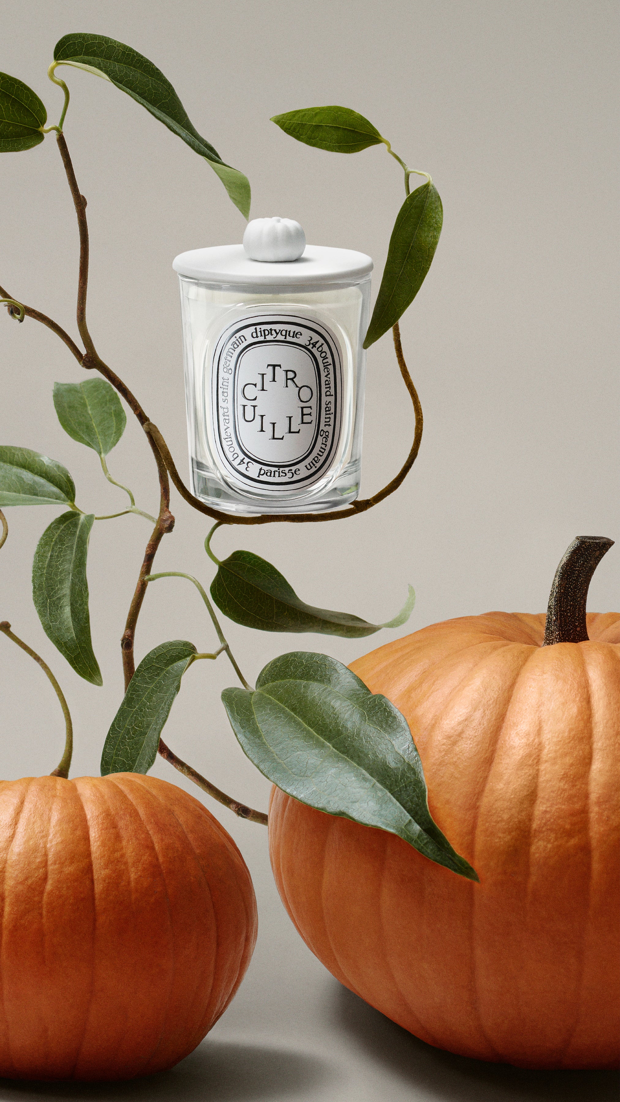 Pumpkin Candle Lid | Diptyque Paris