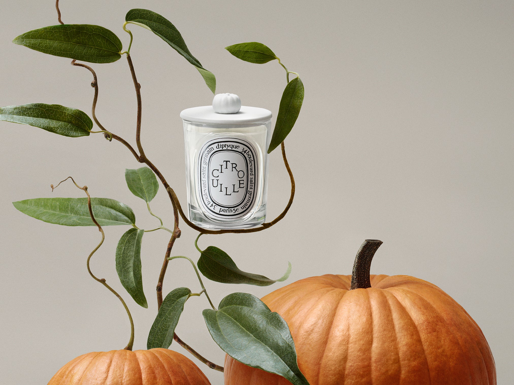 Figuier (Fig Tree) Medium Candle | Diptyque Paris