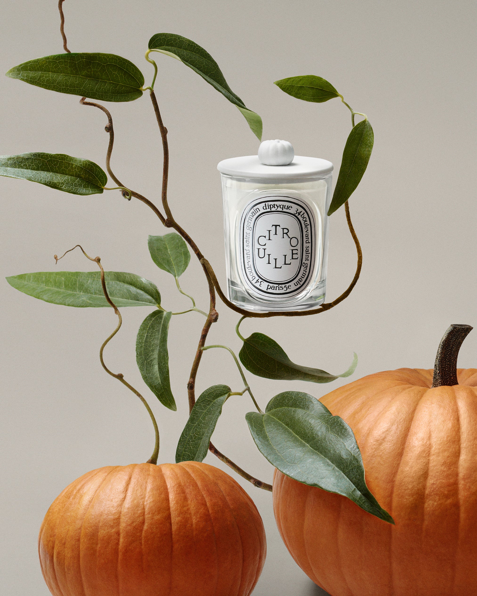 Citrouille (Pumpkin) Classic Candle | Diptyque Paris
