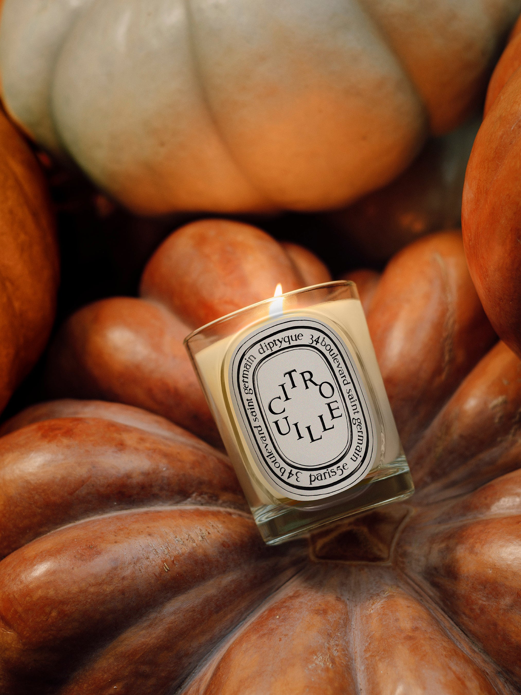 Citrouille (Pumpkin) Classic Candle | Diptyque Paris