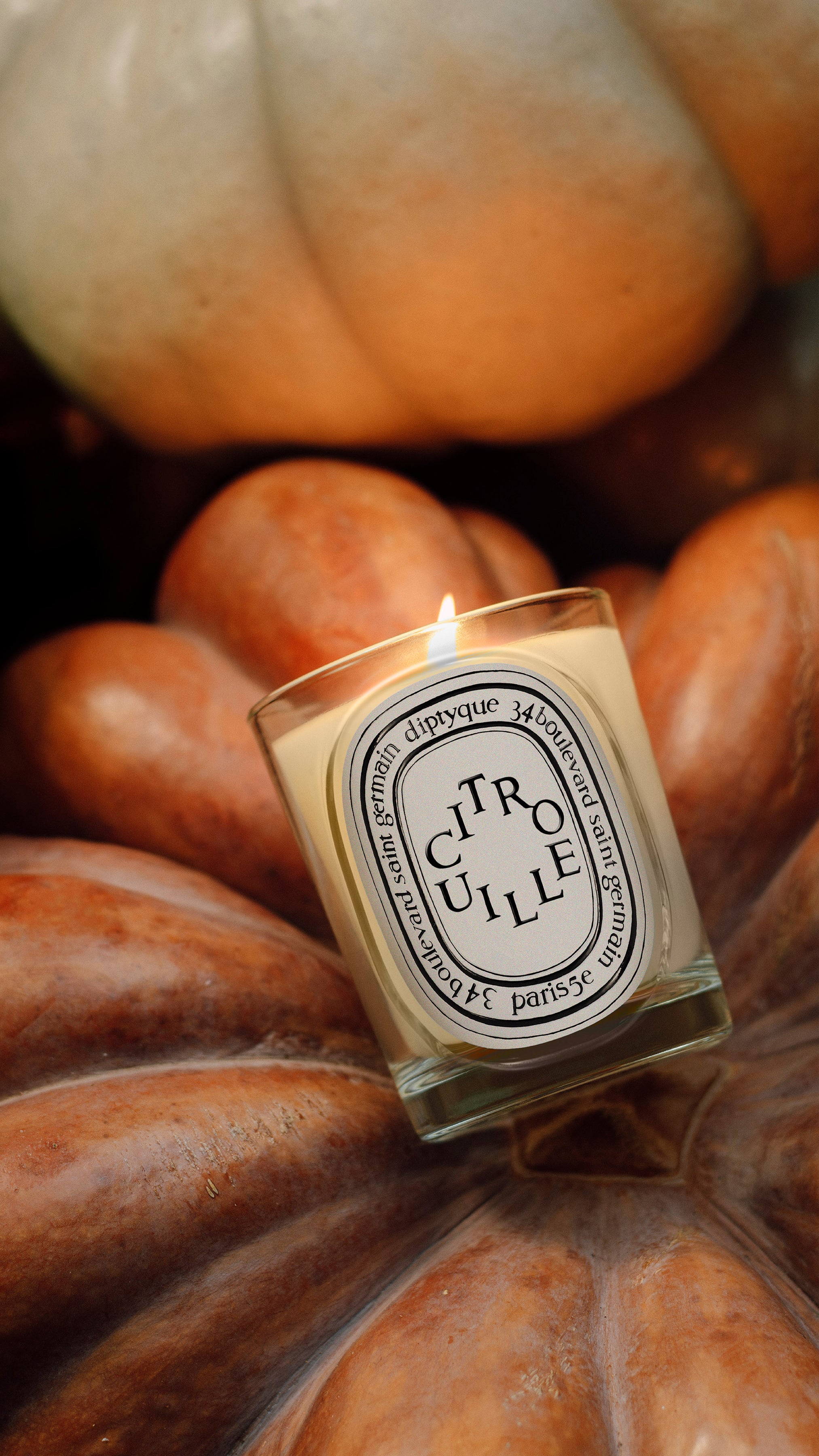 Citrouille (Pumpkin) Classic Candle | Diptyque Paris