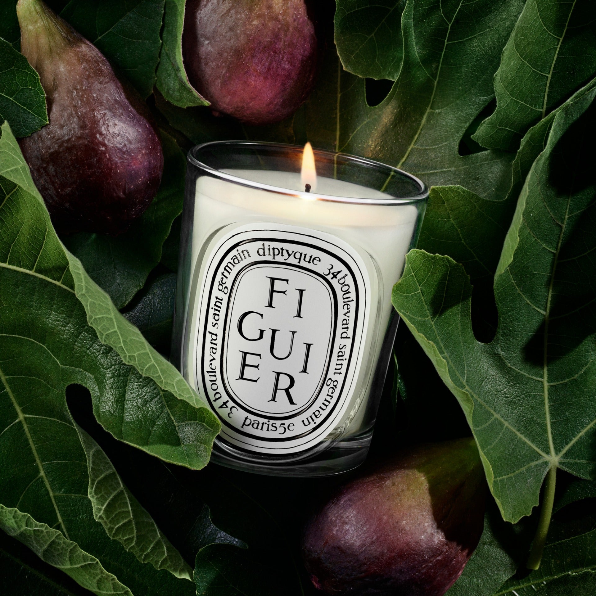 Luxury Home Fragrance | Diptyque Paris
