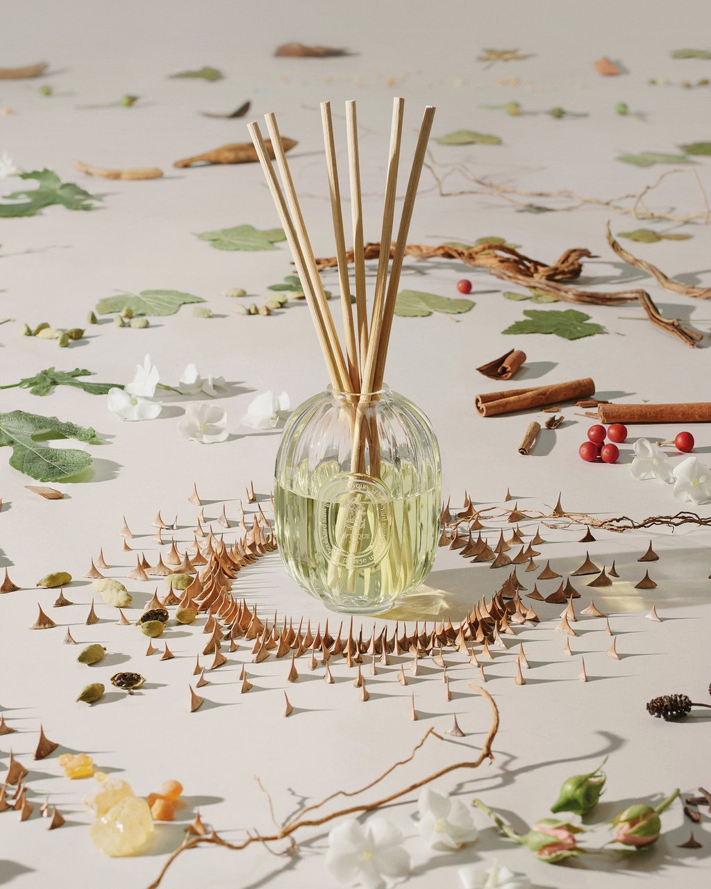 Home Fragrance Diffuser - Glass vessel – Diptyque