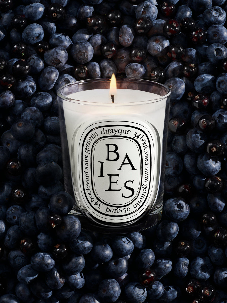 Baies (Berries) - Refill for classic candles