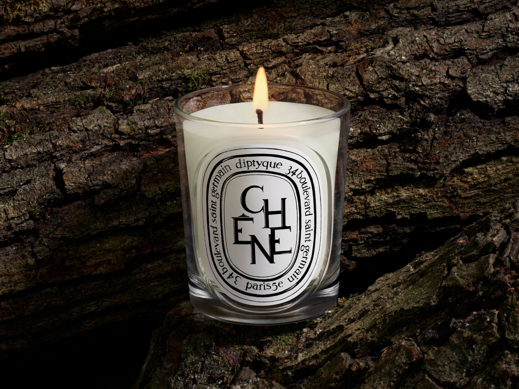 Baies (Berries) - Large Candle – Diptyque