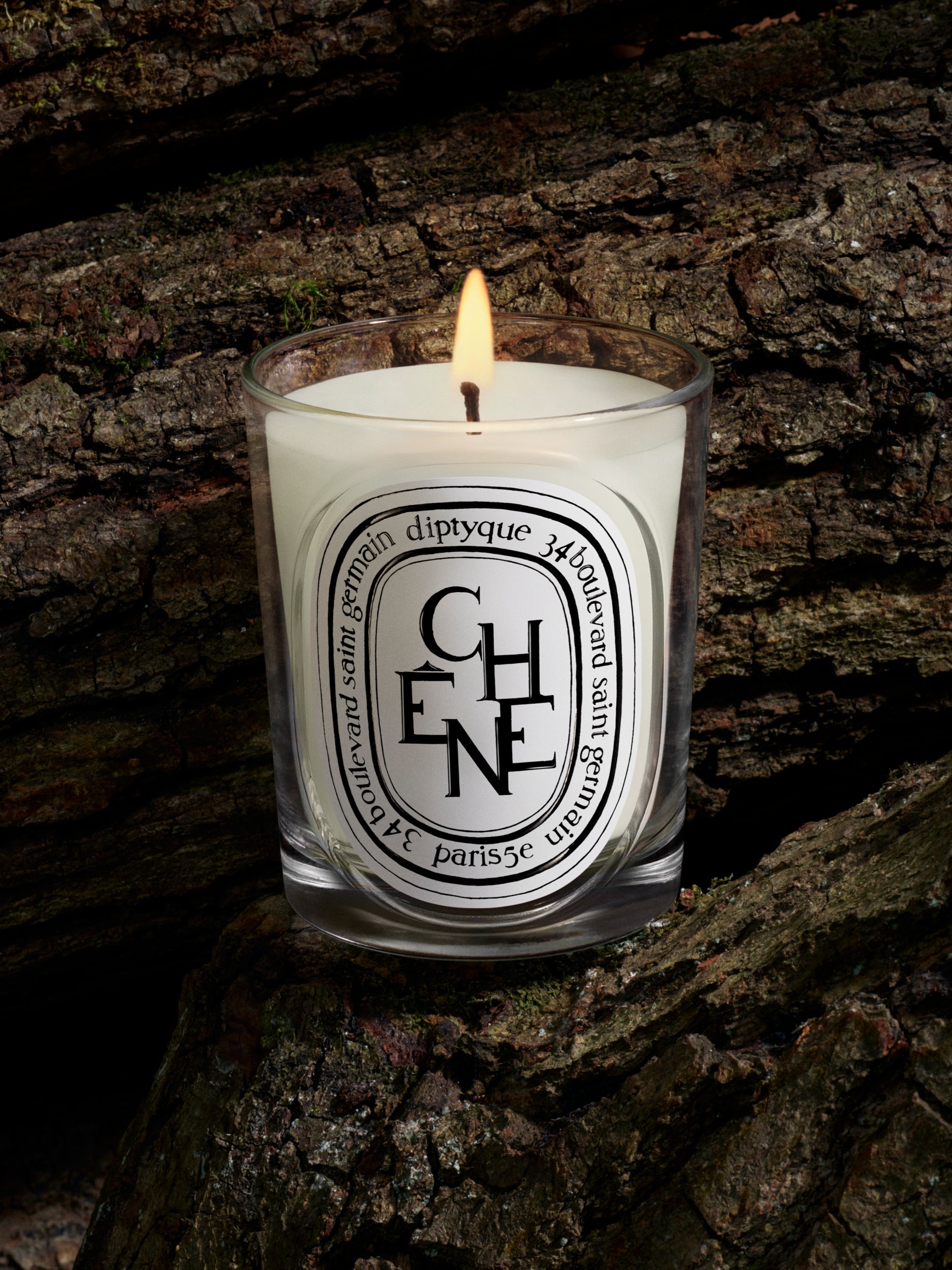 Chêne (Oak Tree) Classic Candle | Diptyque Paris