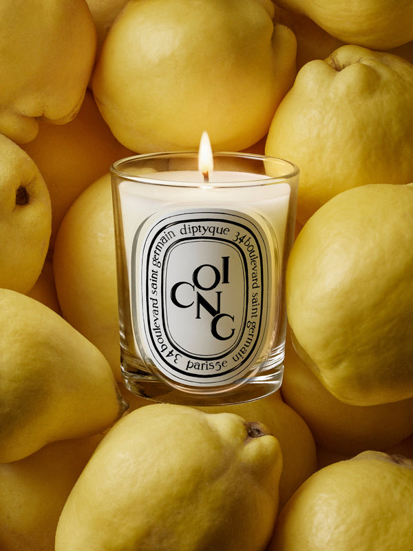 Coing (Quince) - Classic Candle