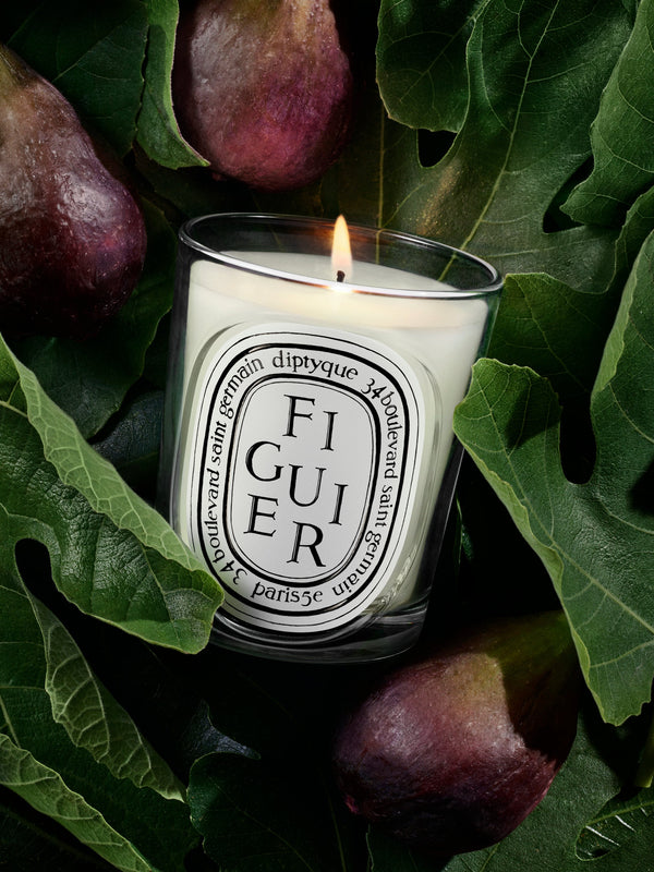 Figuier (Fig Tree) - Classic Candle