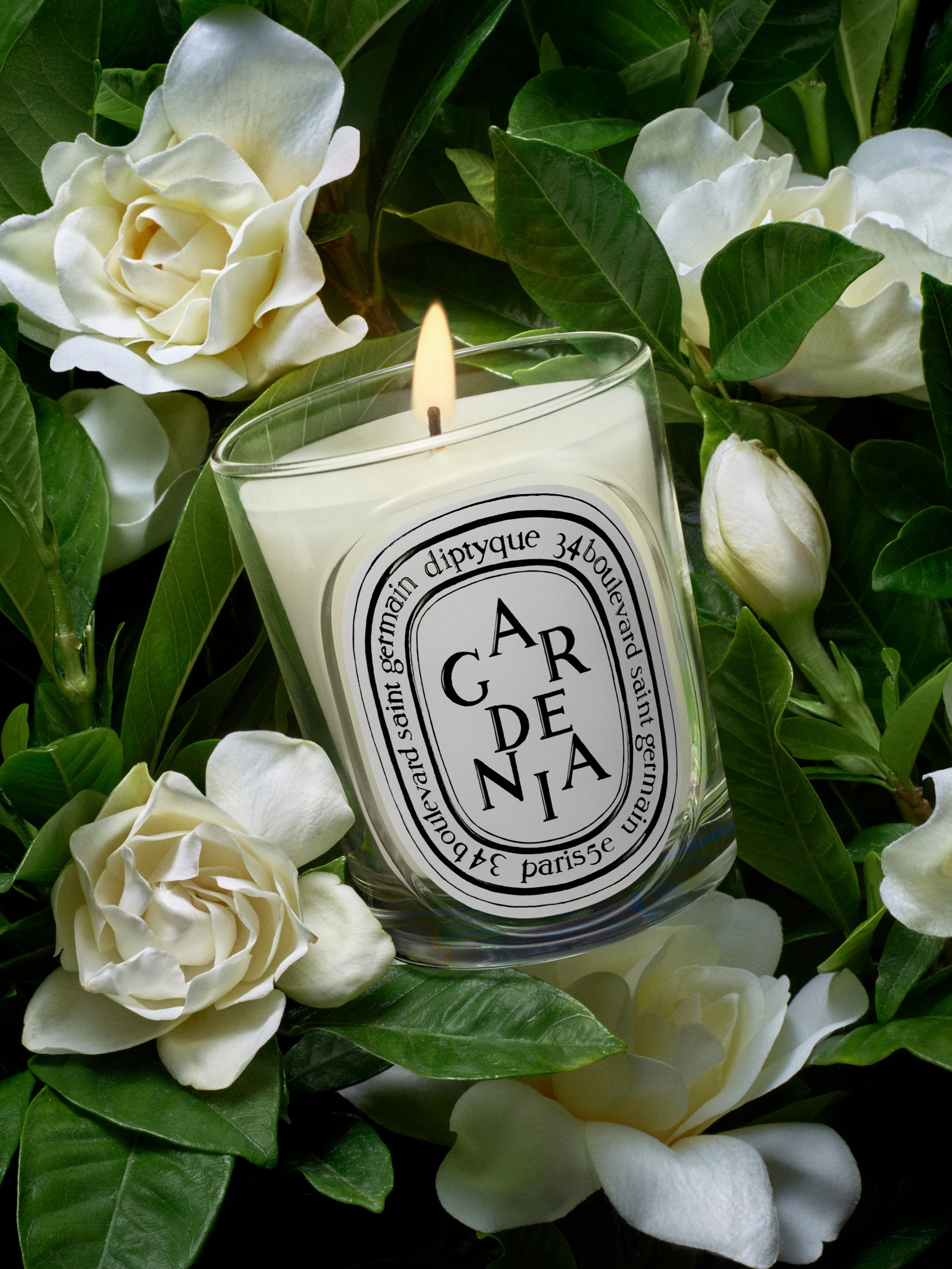 Gardenia - Classic Candle – Diptyque