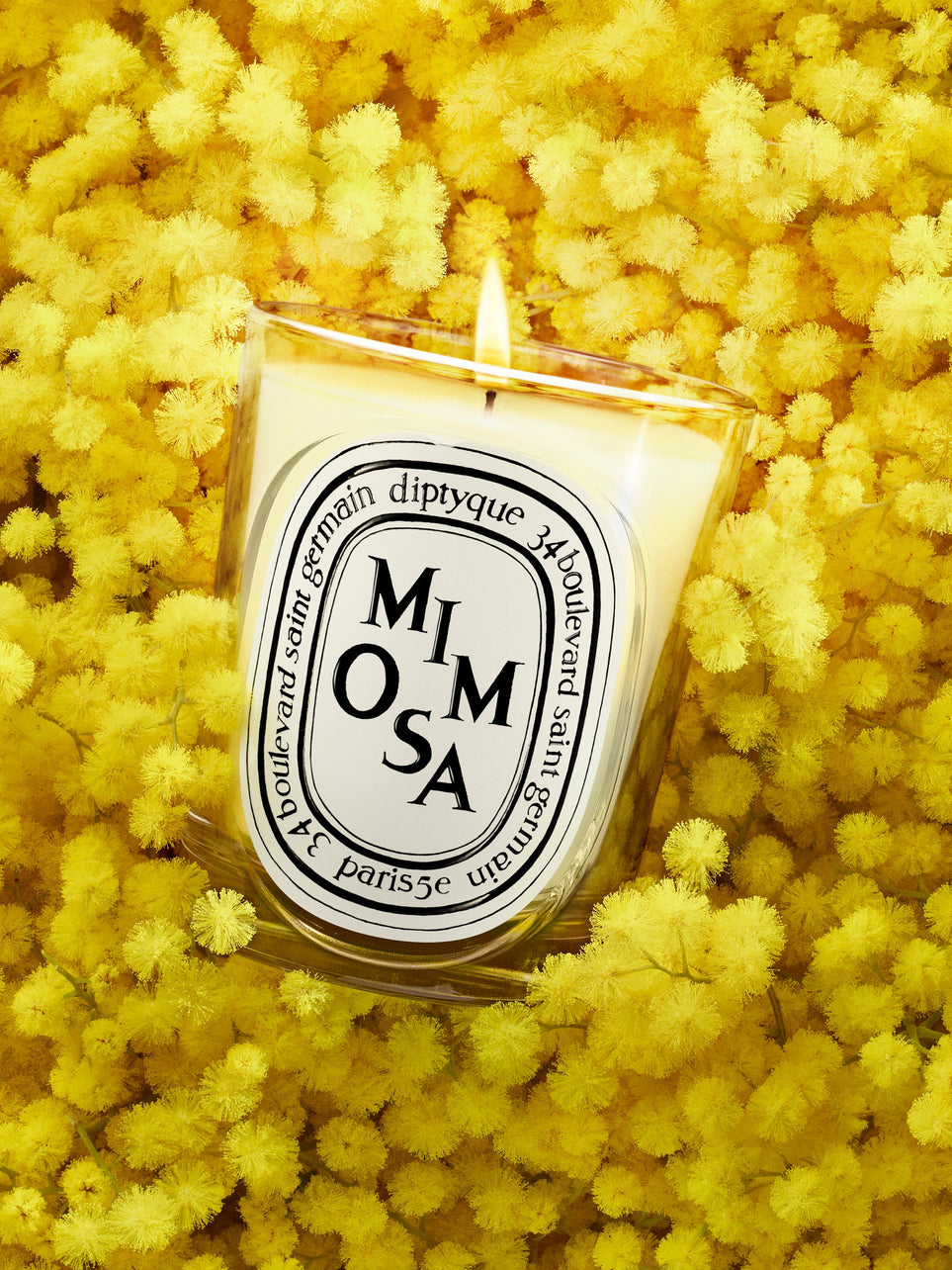 Mimosa - Refill for classic candles