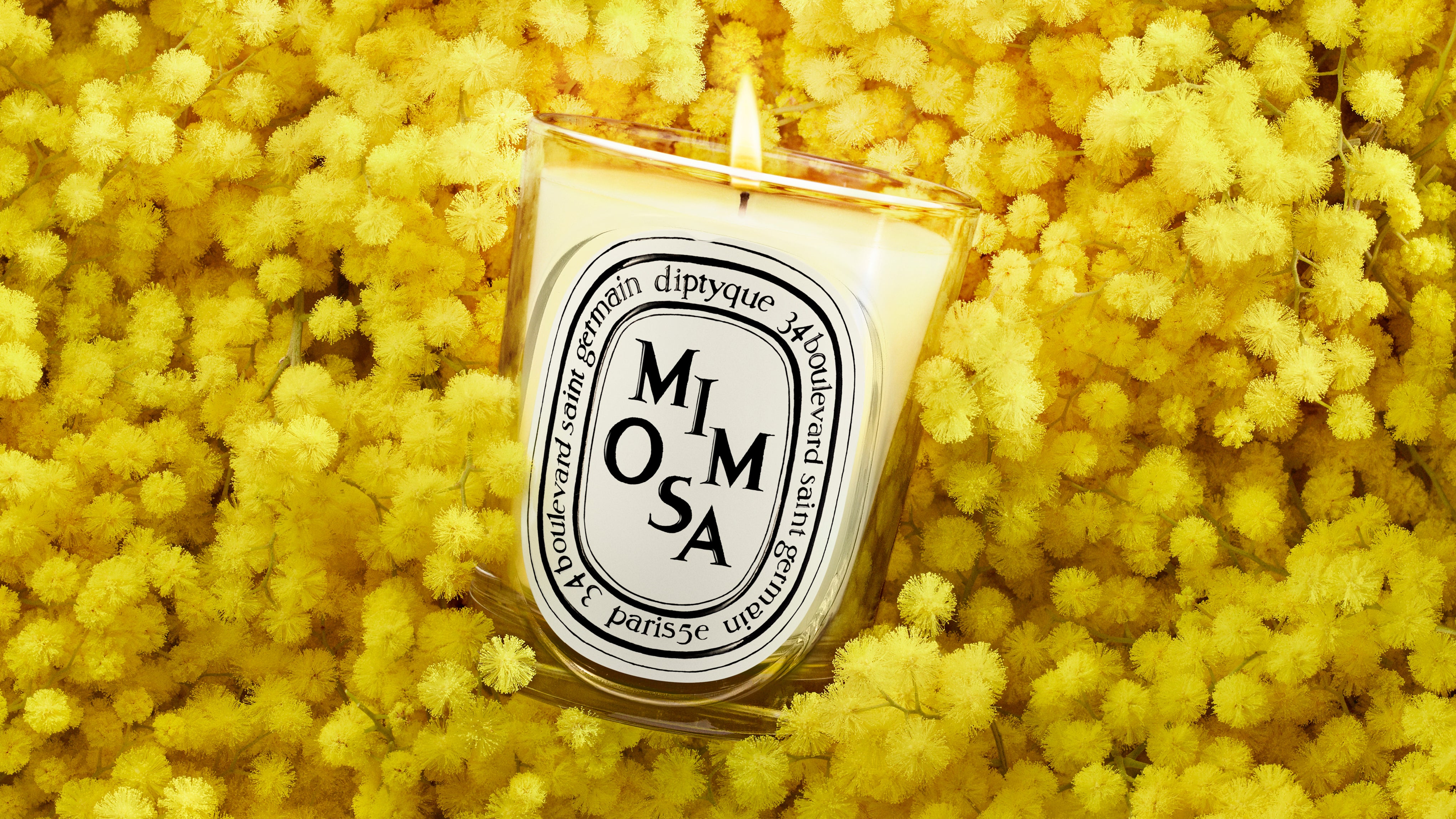 Mimosa – Diptyque