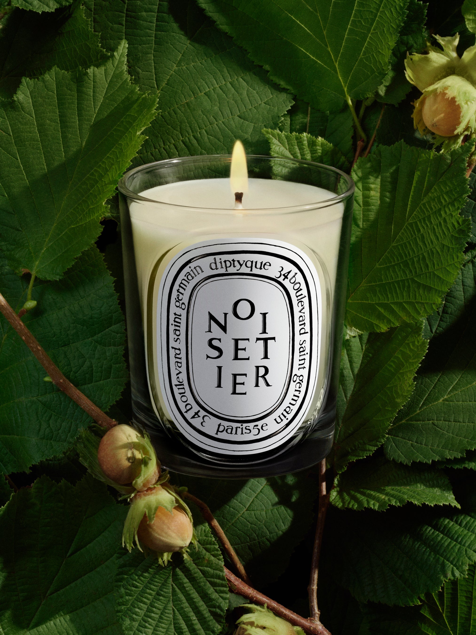 The new Citrouille (Pumpkin) candle, coming soon – Diptyque