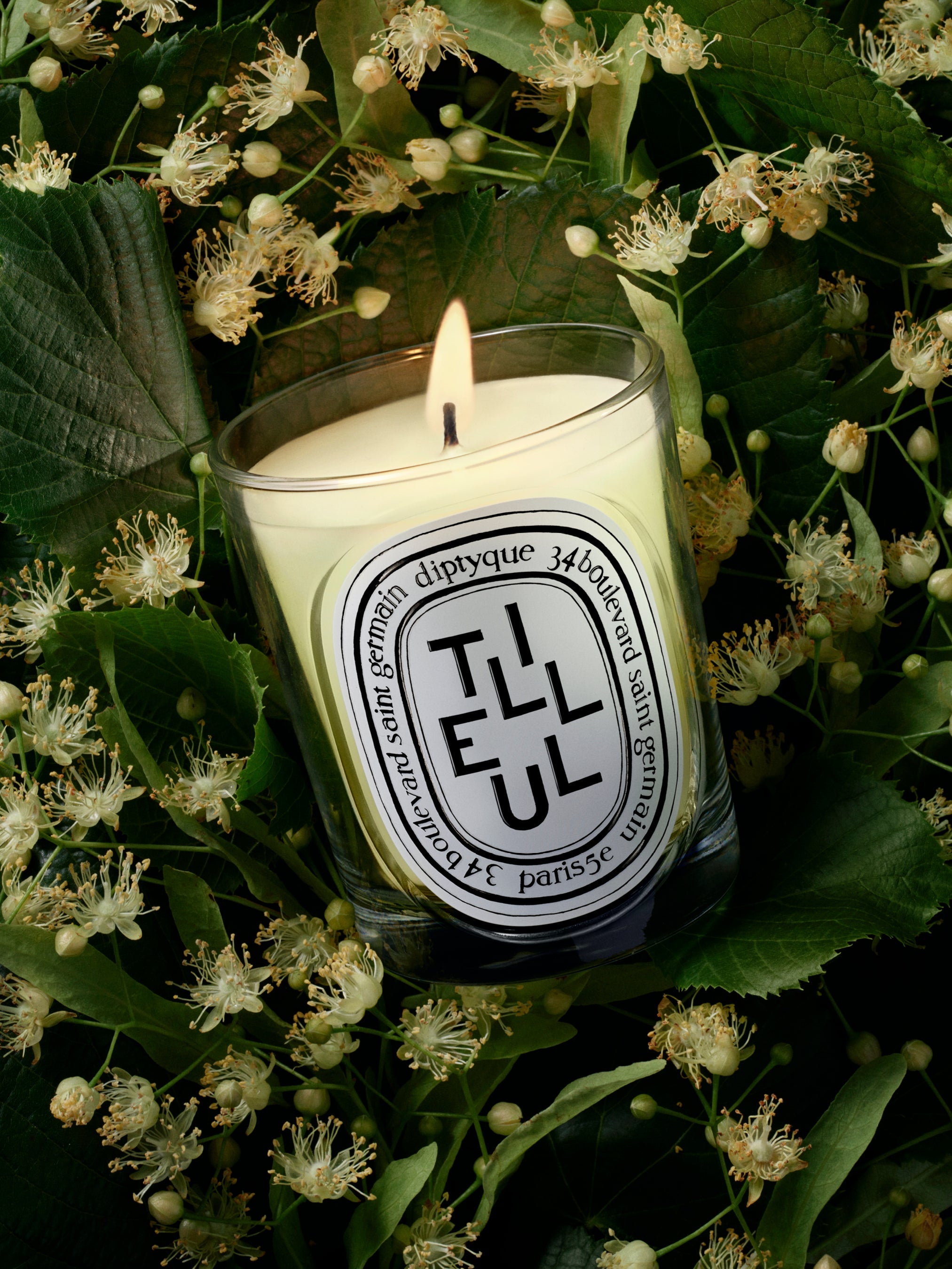 Tilleul (Linden Tree) Classic Candle | Diptyque Paris