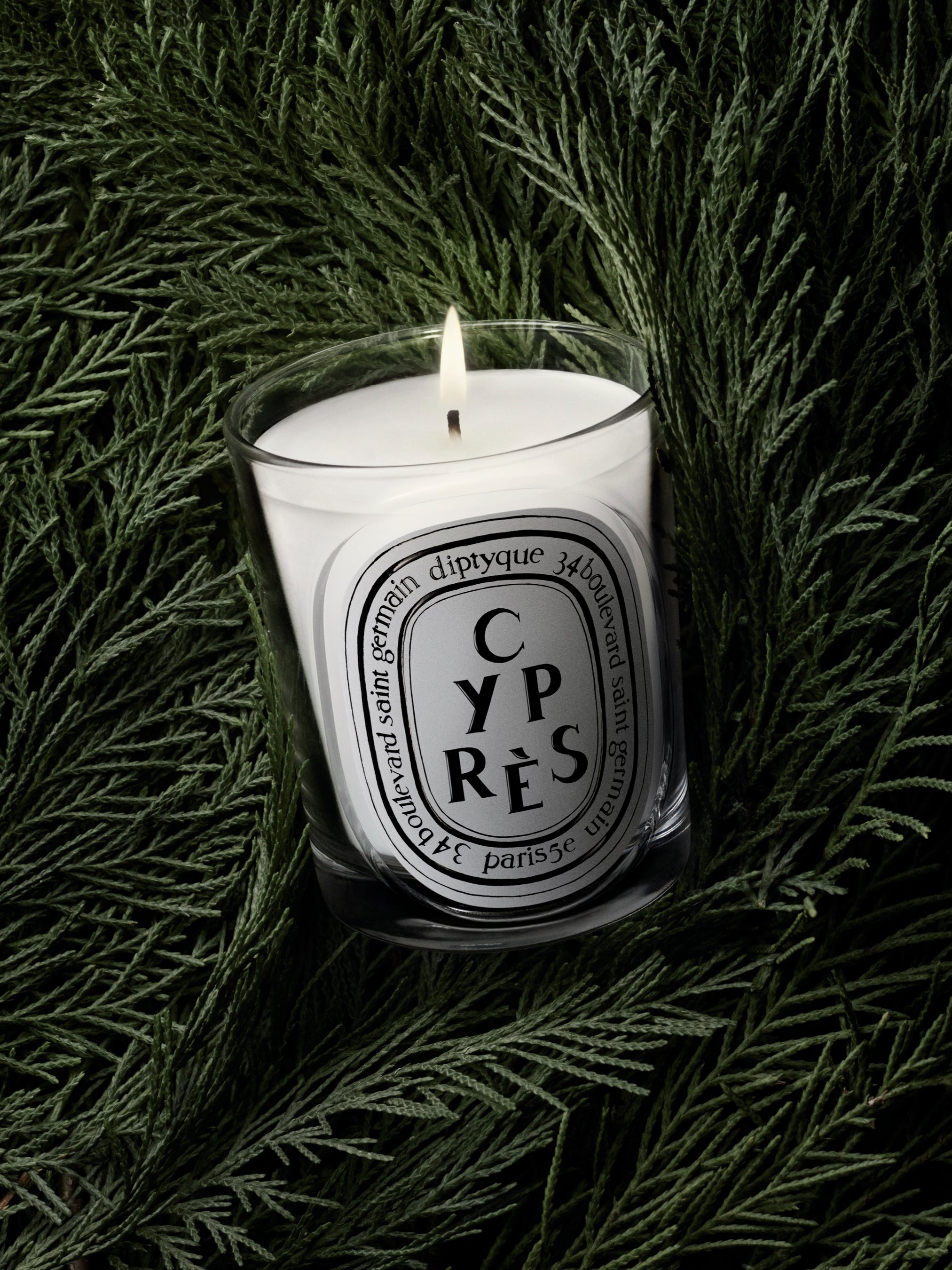 diptyque CYPRES アロマキャンドル 190g シプレ HERBIER_VISUEL_CYPRES-