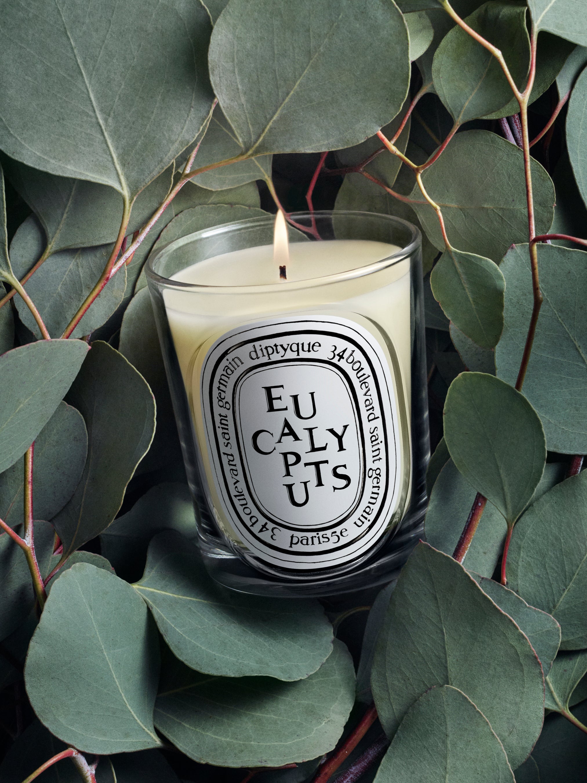 diptyque キャンドル EUCALYPTUS 190g Eucalyptus - Classic Candle | Diptyque Paris