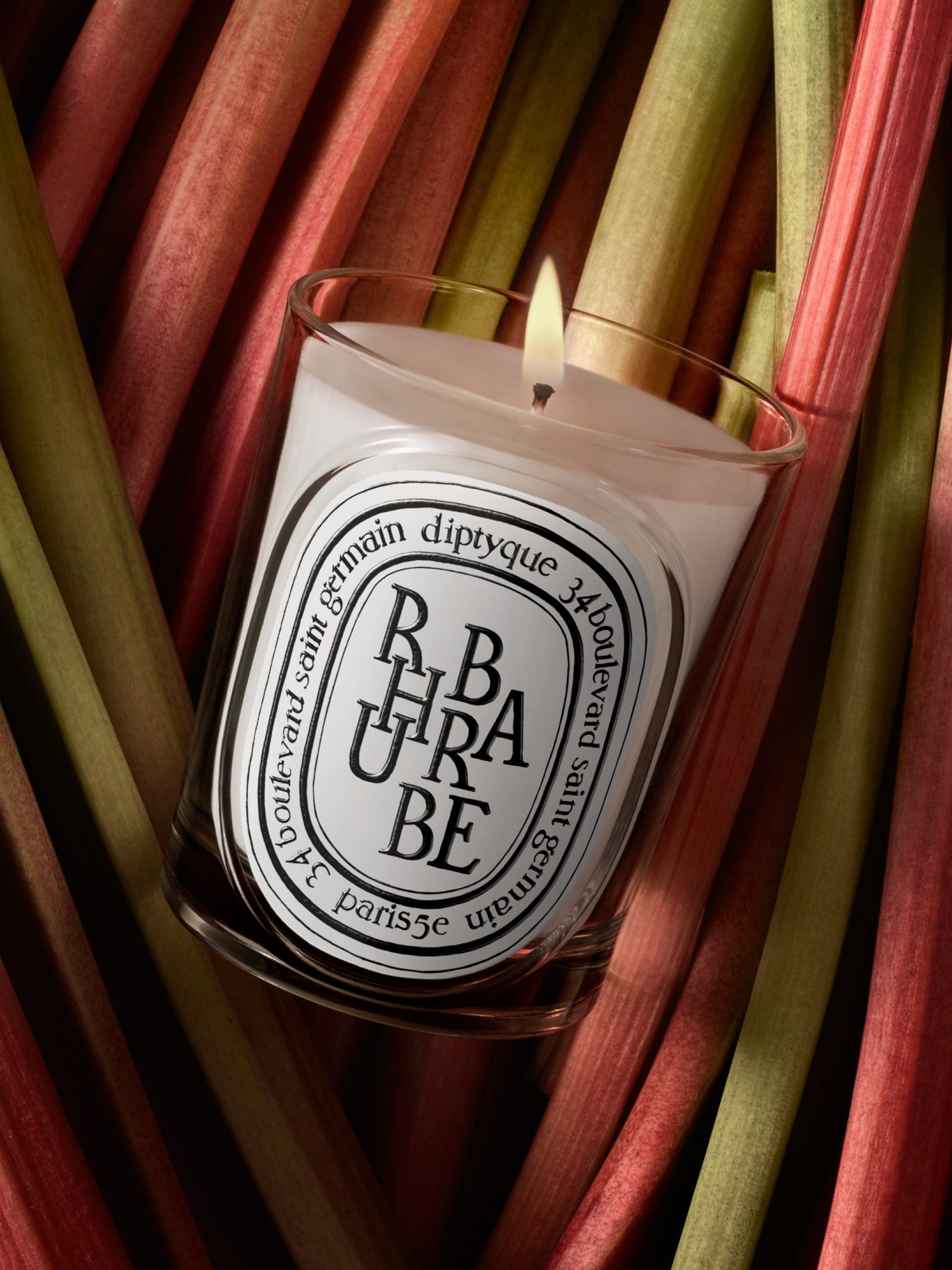 HERBIER_VISUEL_RHUBARBE-