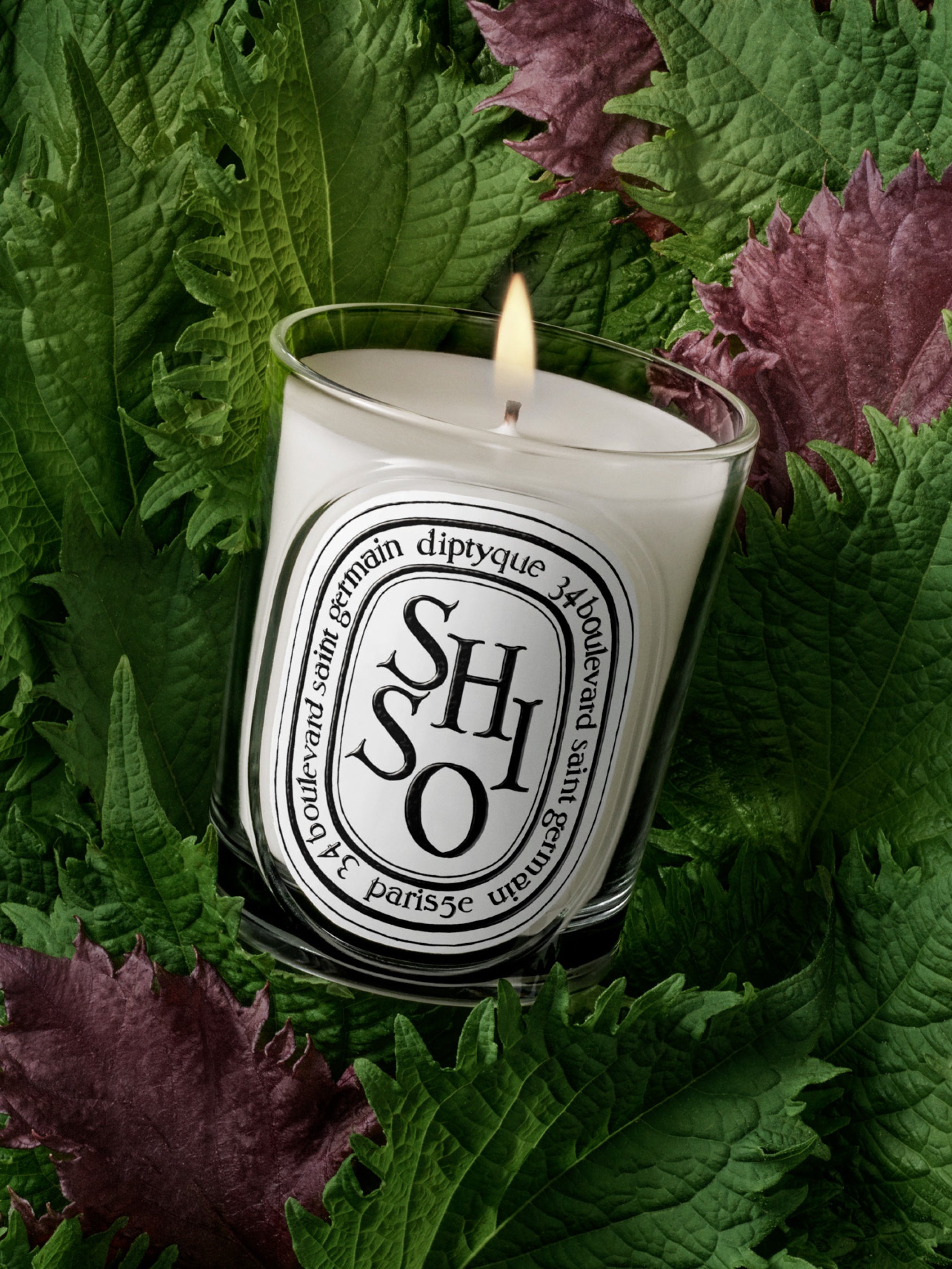 Shiso - Classic Candle – Diptyque