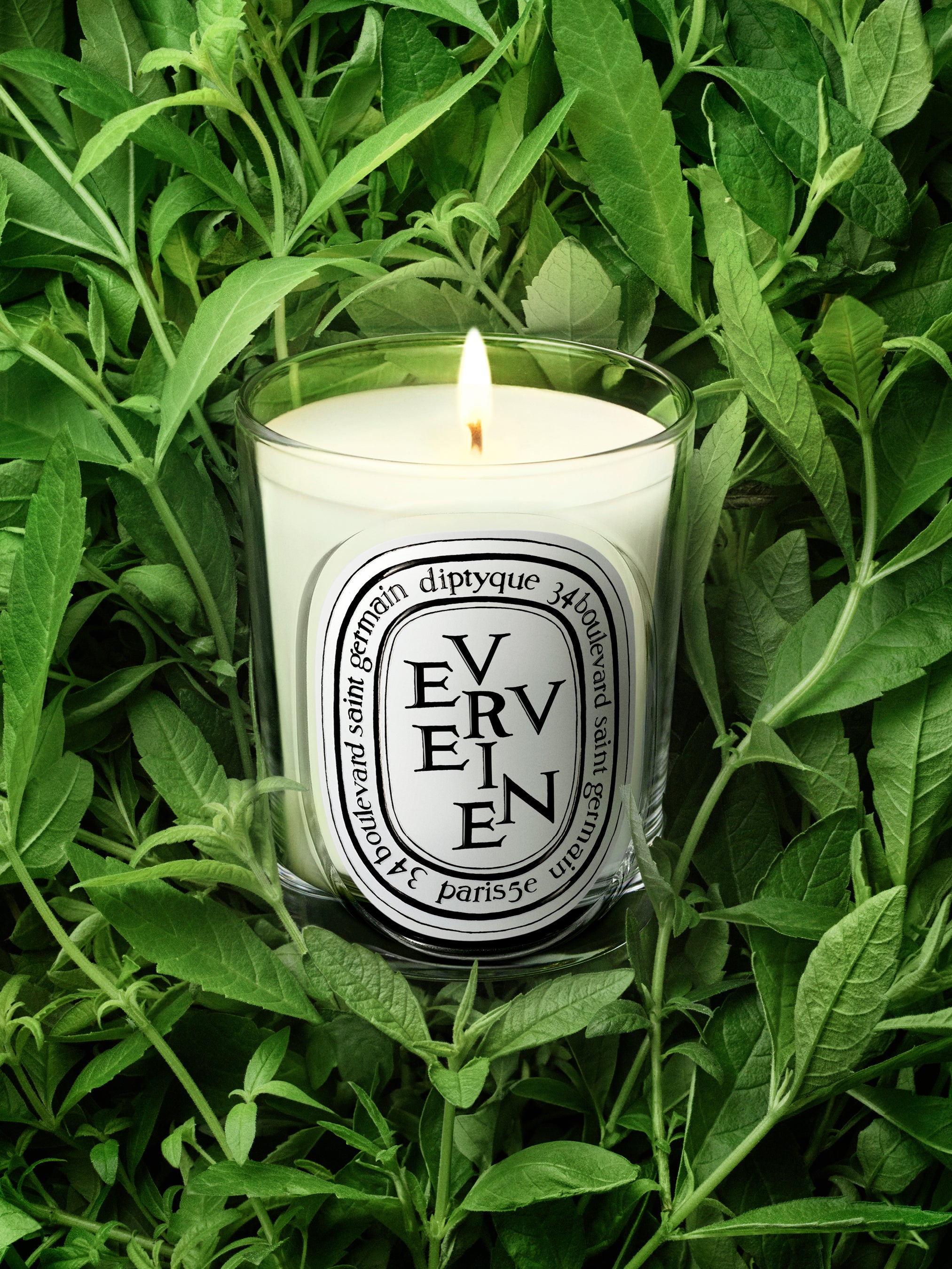Verveine (Lemon Verbena Scented) Classic Candle | Diptyque Paris