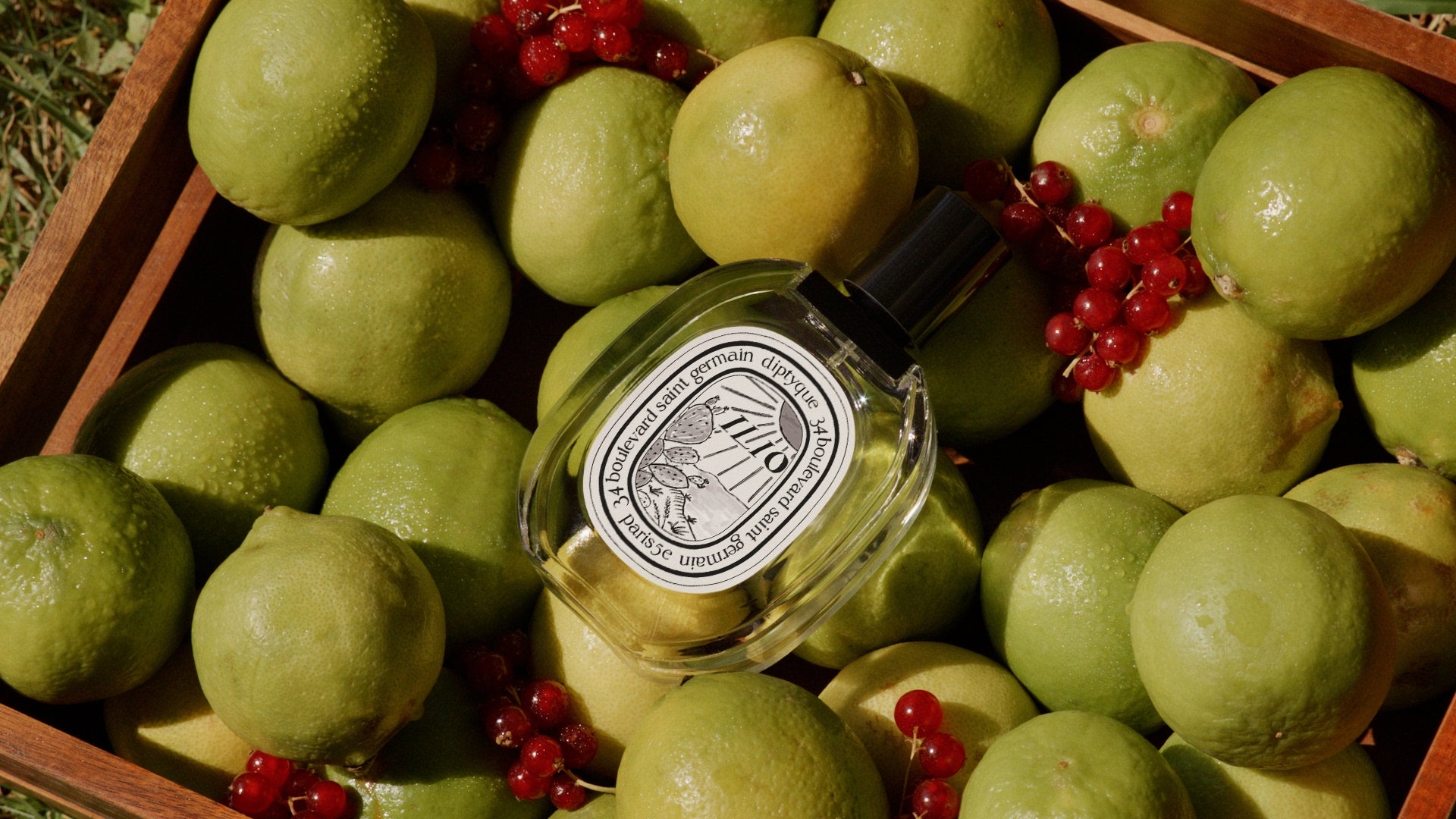Ilio – Diptyque