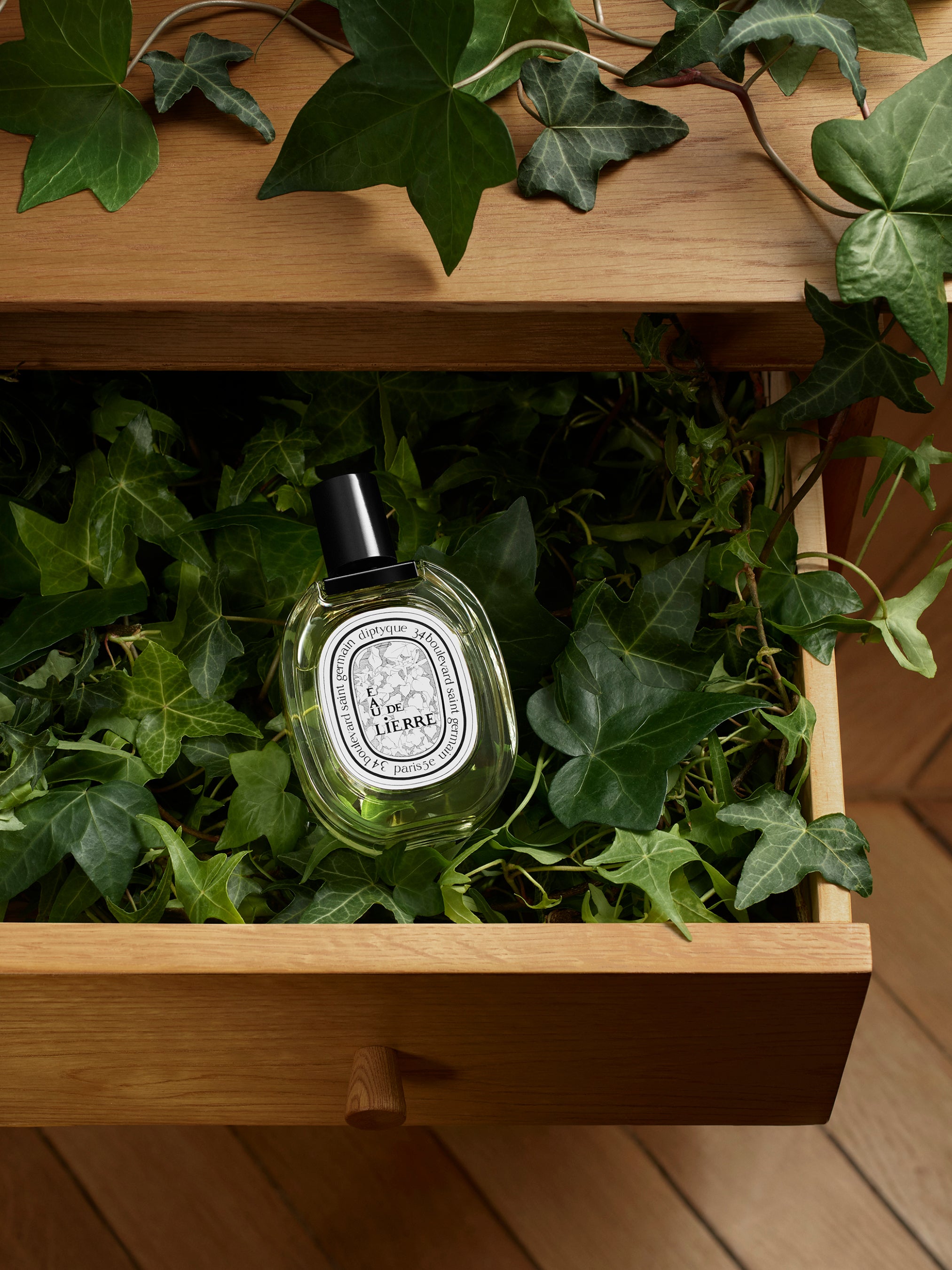 【国内正規品】diptyque EAU DE LIERRE オードトワレ Luxury Eau de Lierre Eau de Toilette 100ml | Diptyque Paris