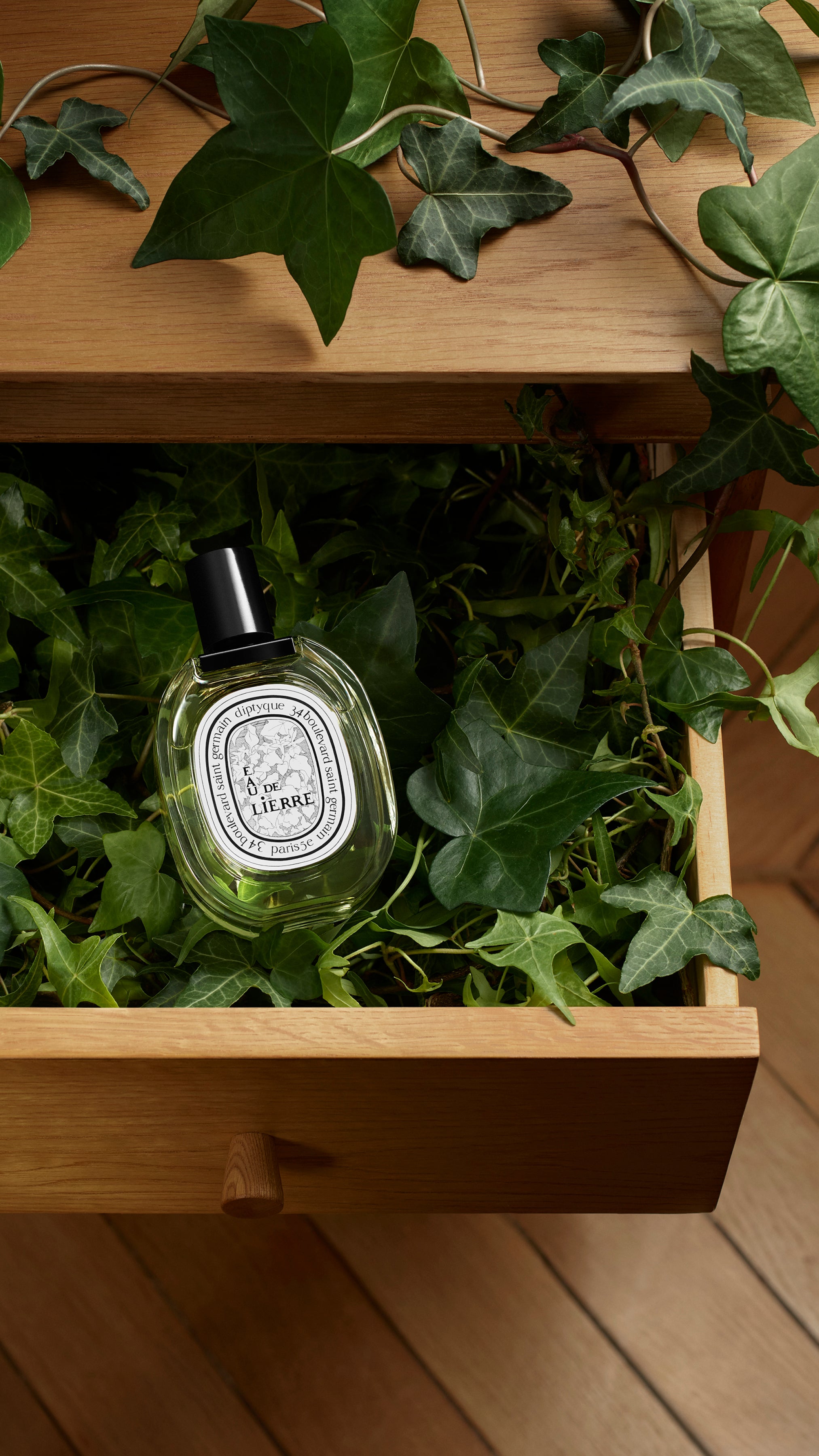Eau de Lierre - Eau de toilette – Diptyque