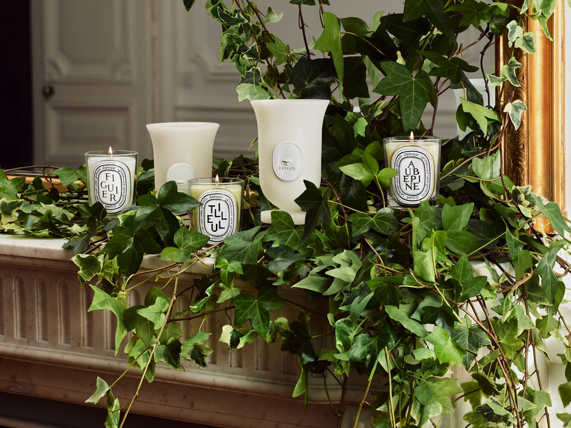 Interior Gardener