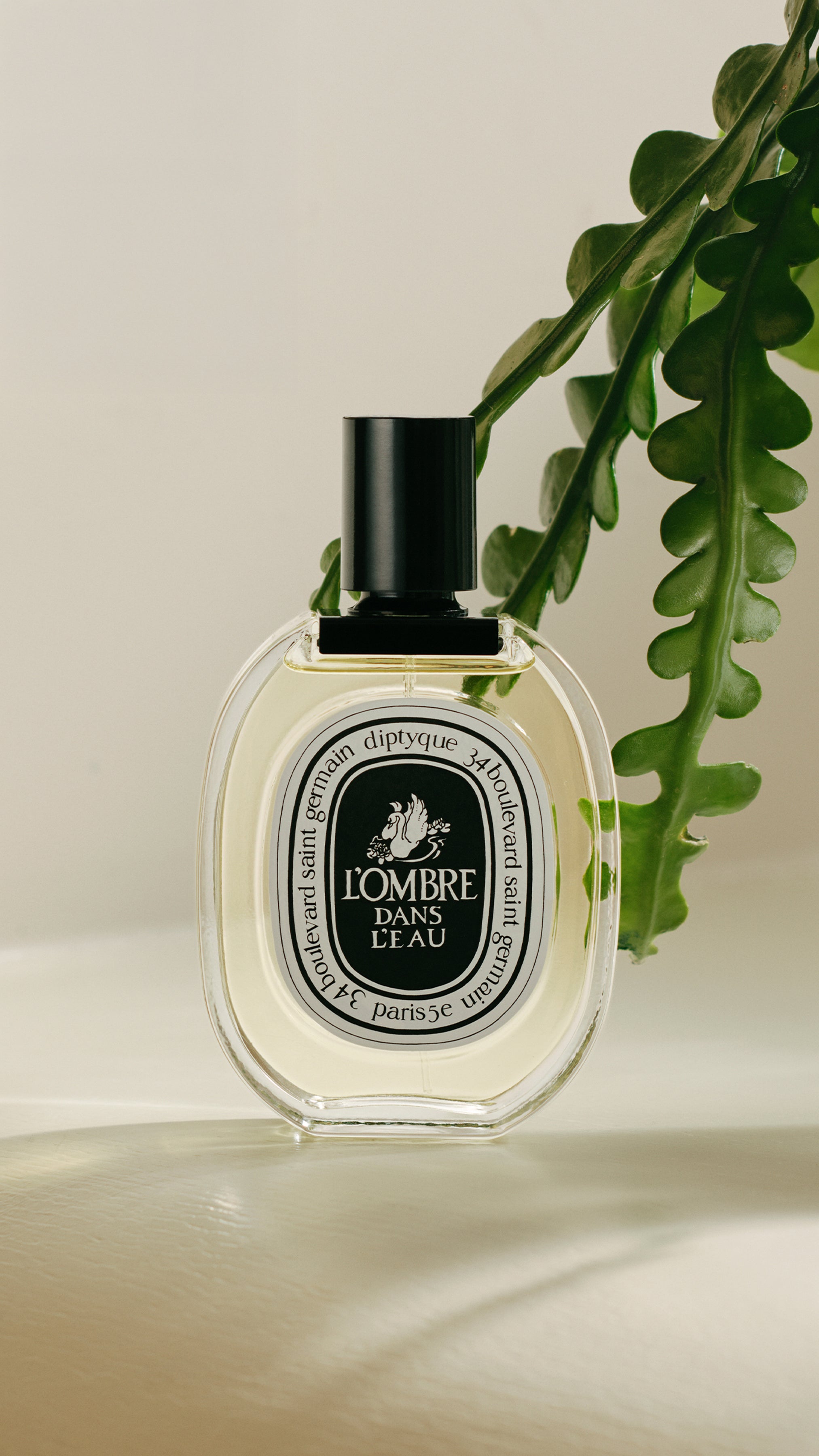 Luxury L'Ombre dans l'Eau Eau de Toilette 50ml | Diptyque Paris