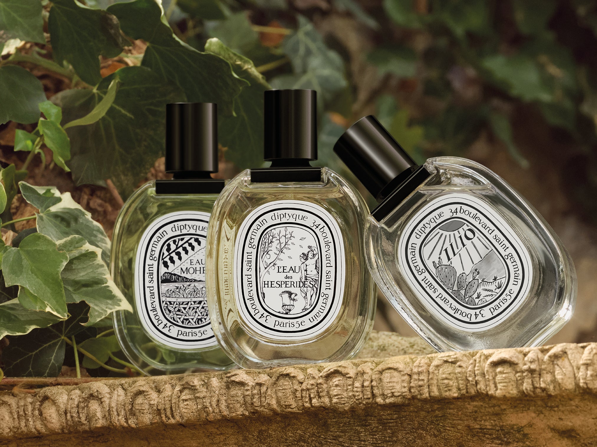 Do Son - Refillable Solid Perfume – Diptyque