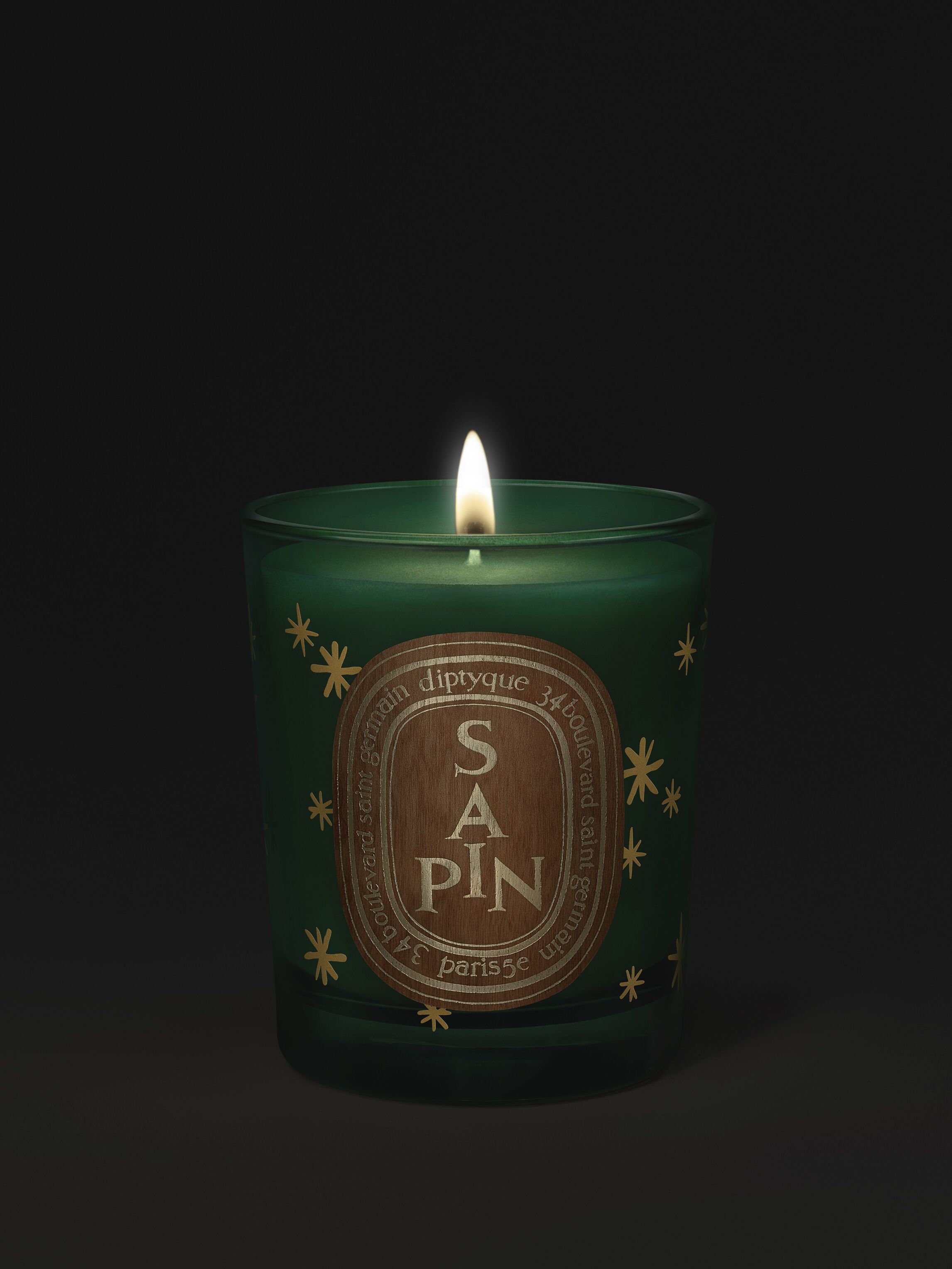 Sapin (Pine Tree) Small Candle | Diptyque Paris