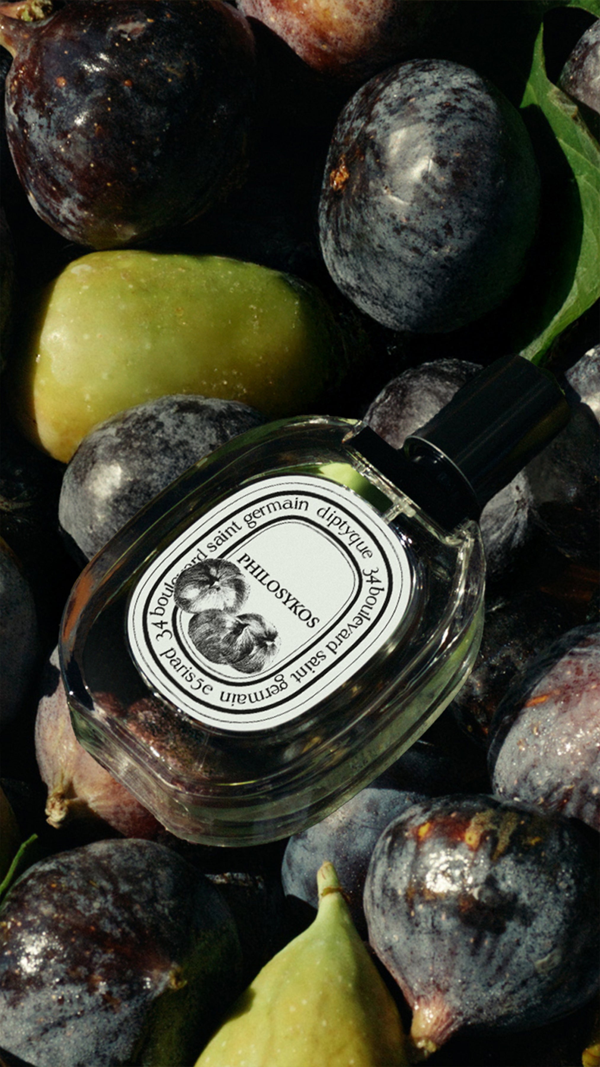 Philosykos Eau de Toilette 50ml | Diptyque Paris