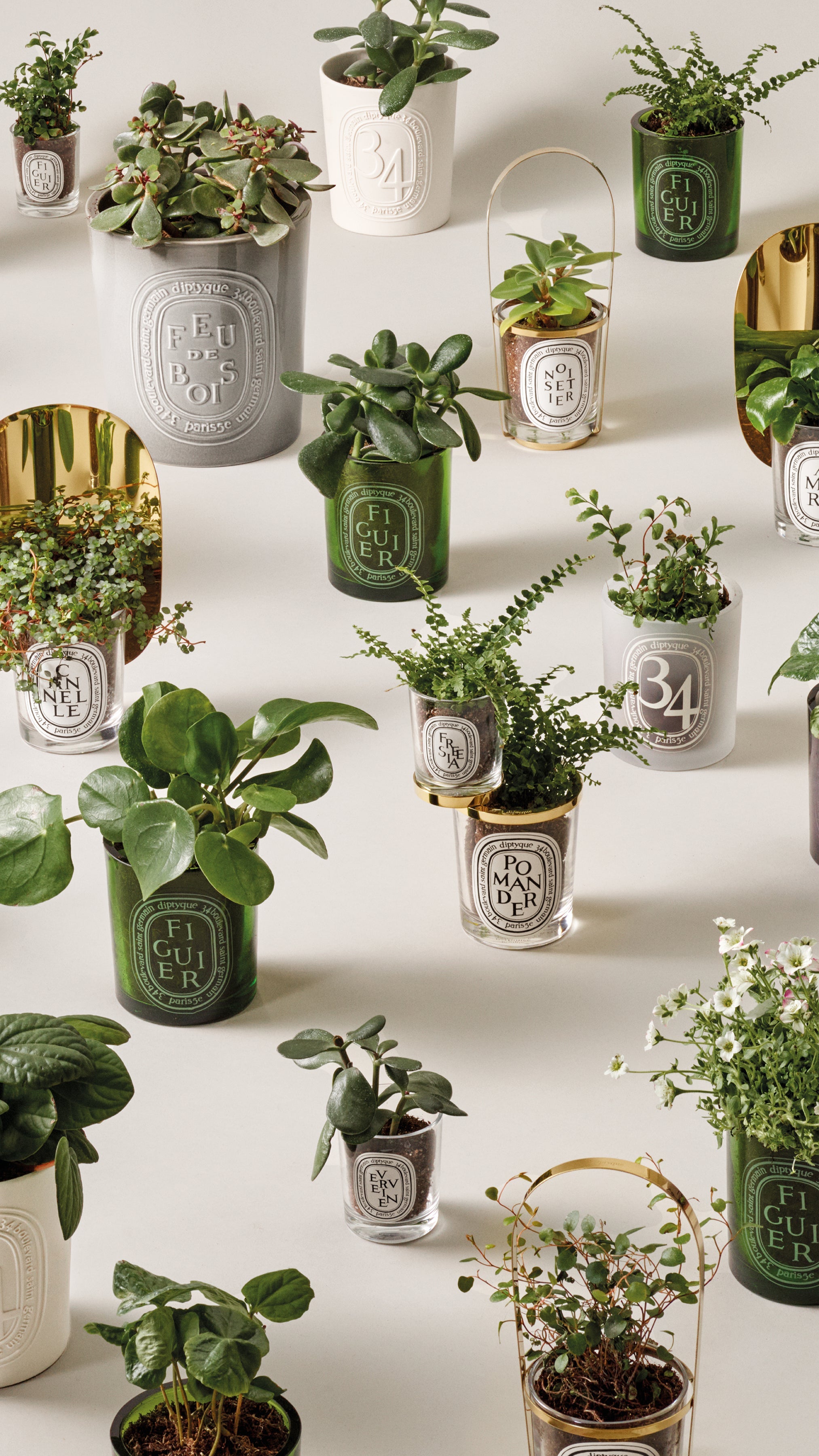 Mirror Oval - for classic candles – Diptyque