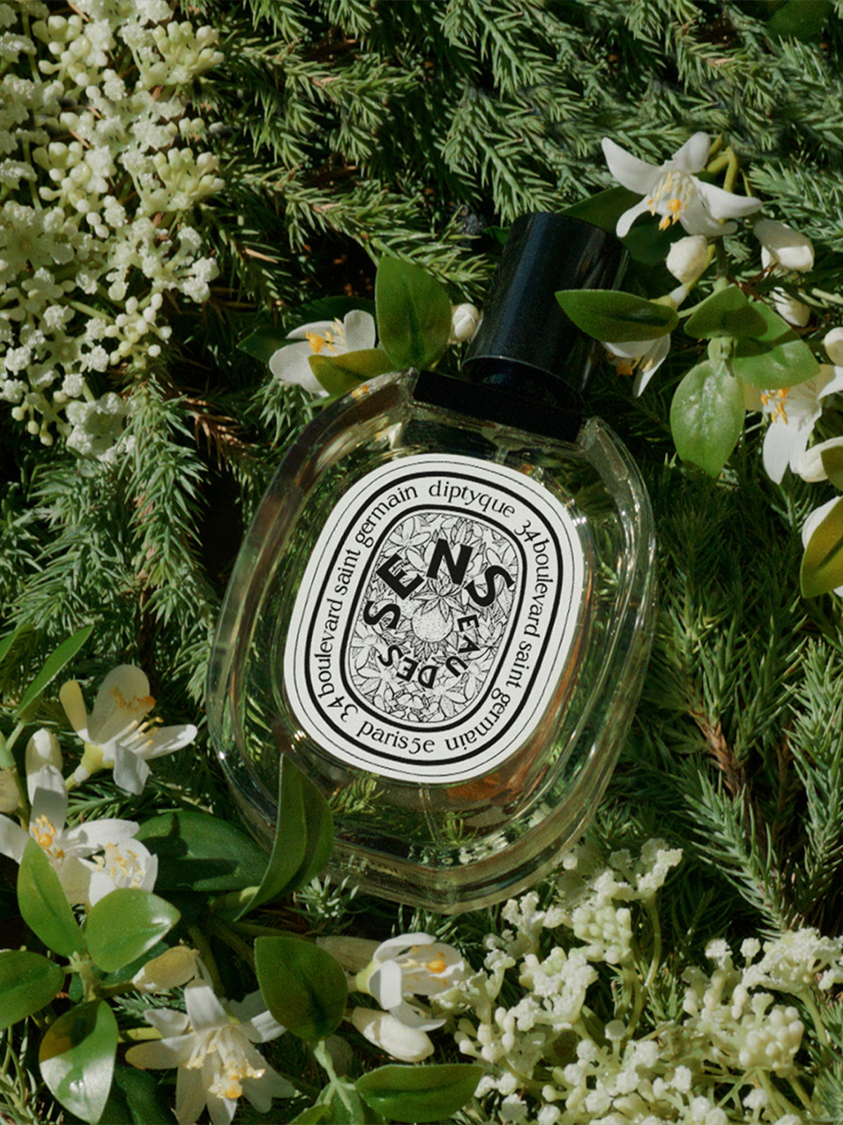 Eau des Sens Eau de Toilette 50ml | Diptyque Paris