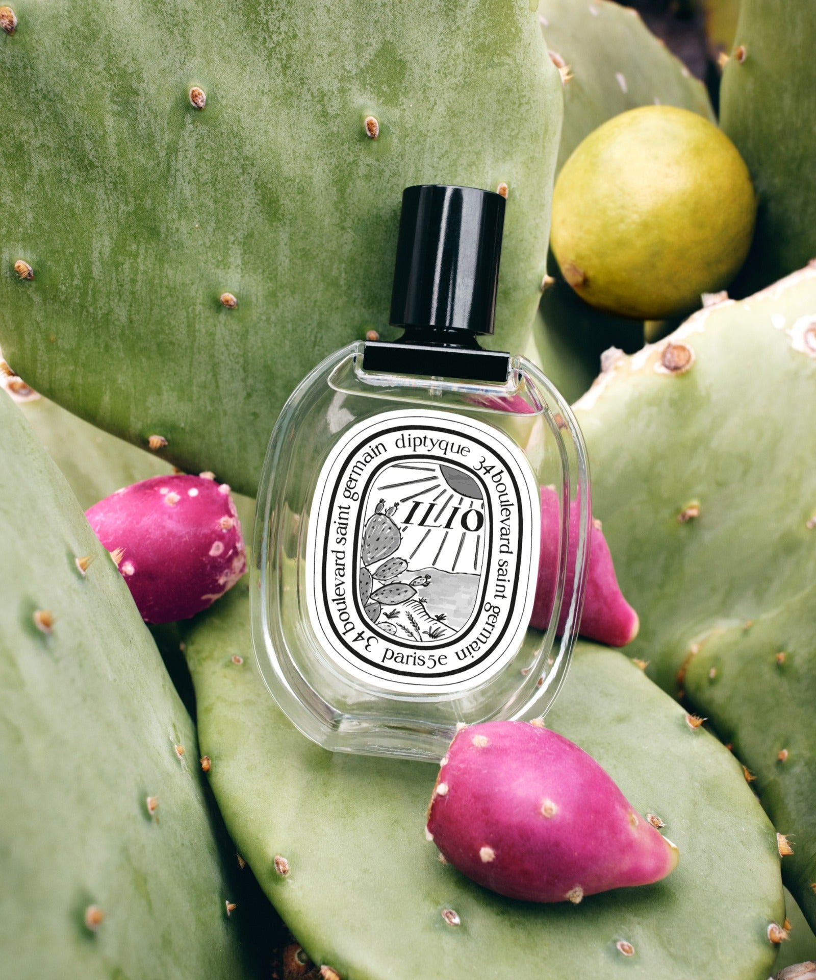 diptyque ディプティック ILIO イリオ ヘアフレグランス 30m Ilio Fragrance Collection | Diptyque Paris