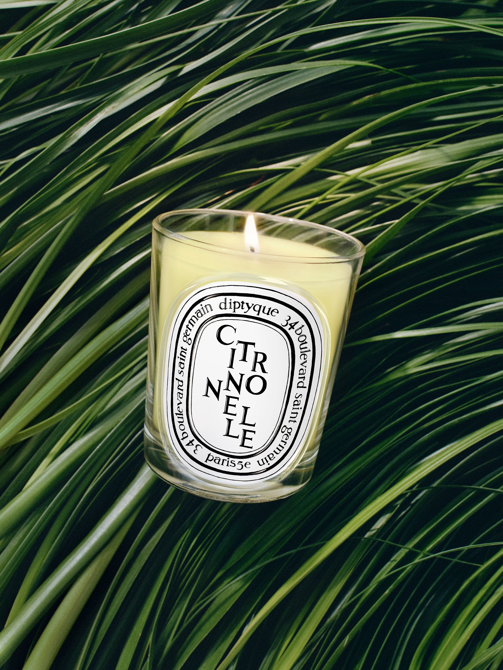 Citronnelle (Lemongrass) - Classic Candle – Diptyque