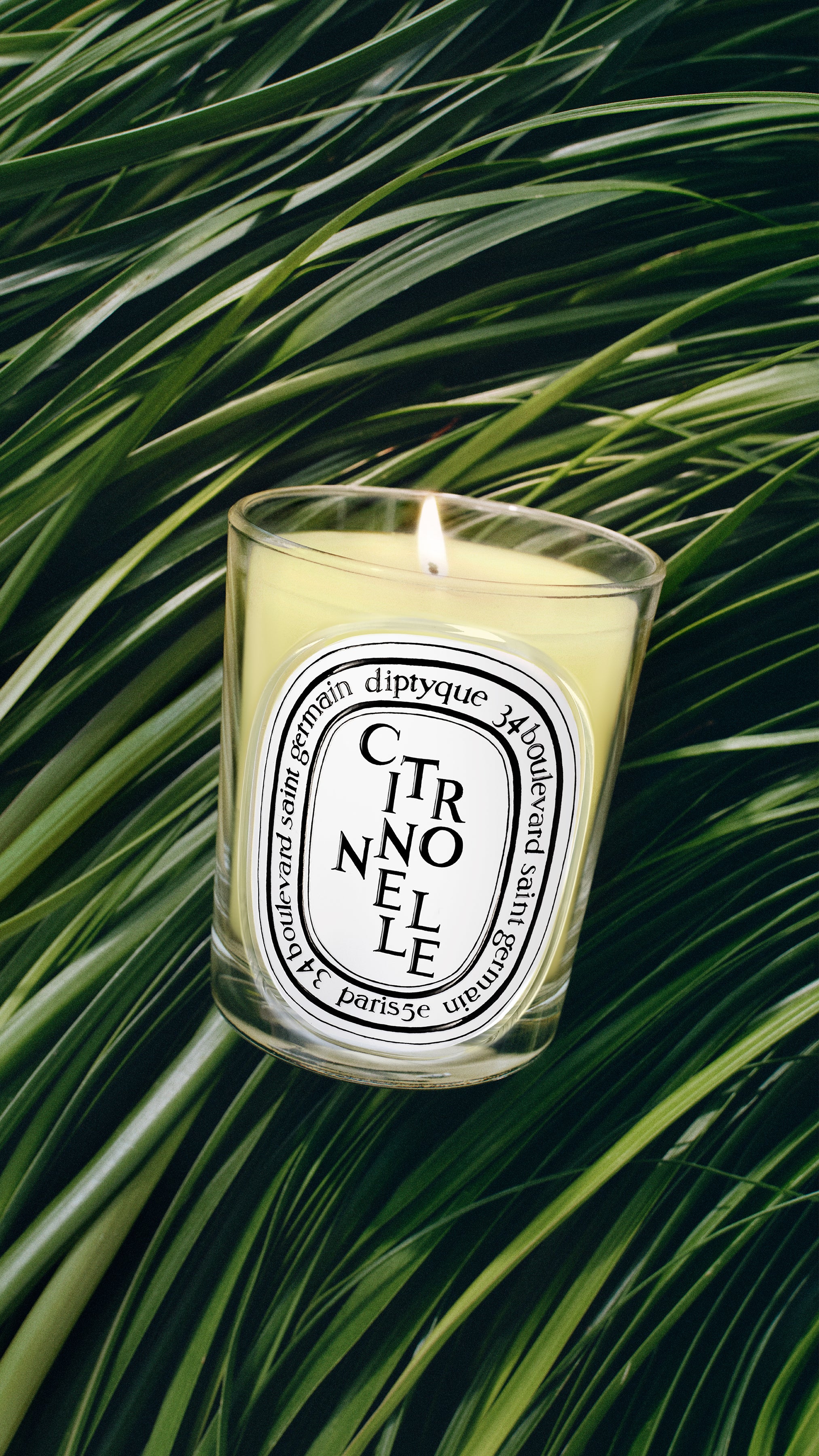 化粧小物( #Diptyque #Laboratorio #TAMBURINS) Citronnelle (Lemongrass) - Classic Candle – Diptyque
