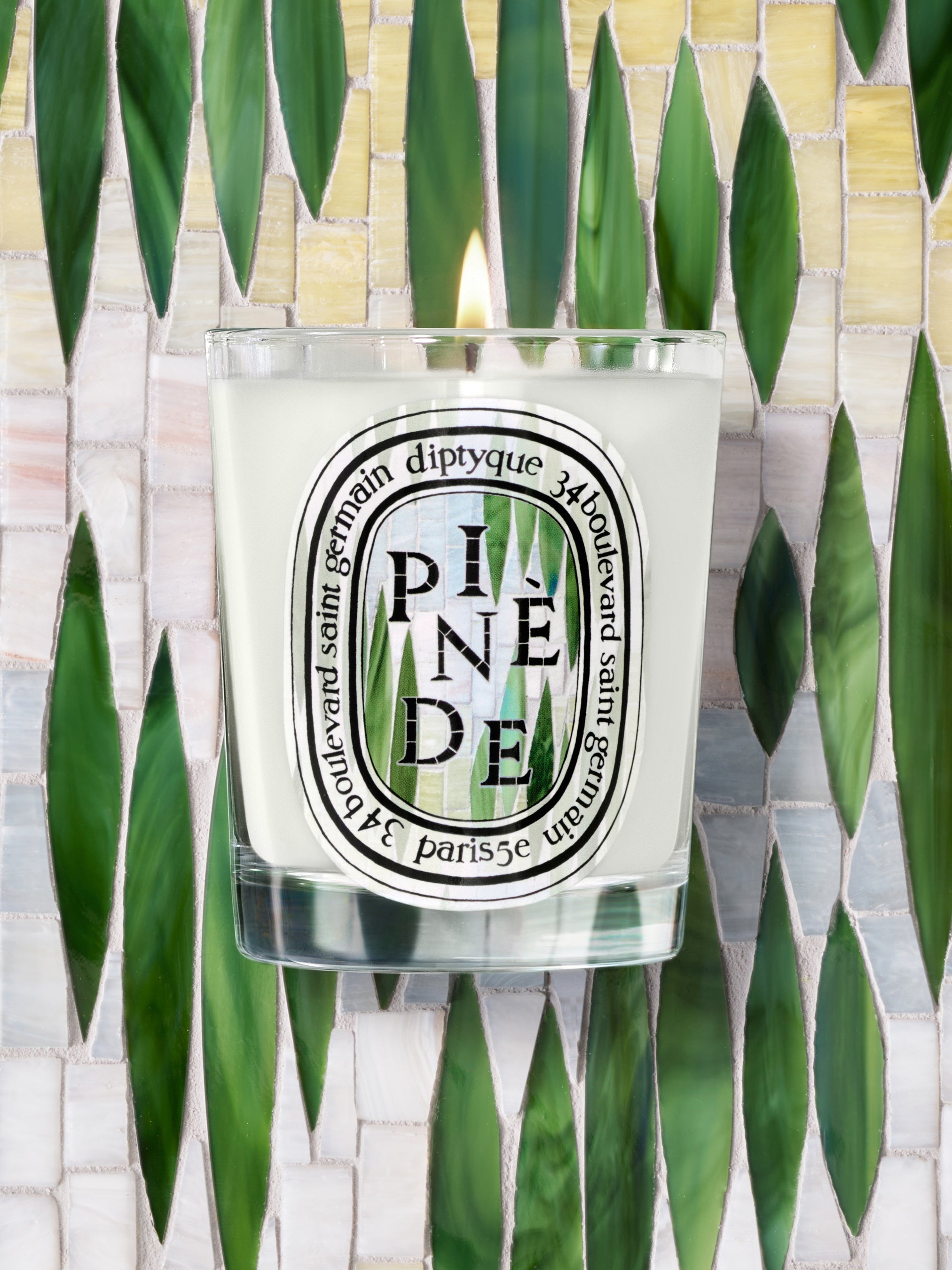 Pinède (Pine Grove) - Classic Candle – Diptyque