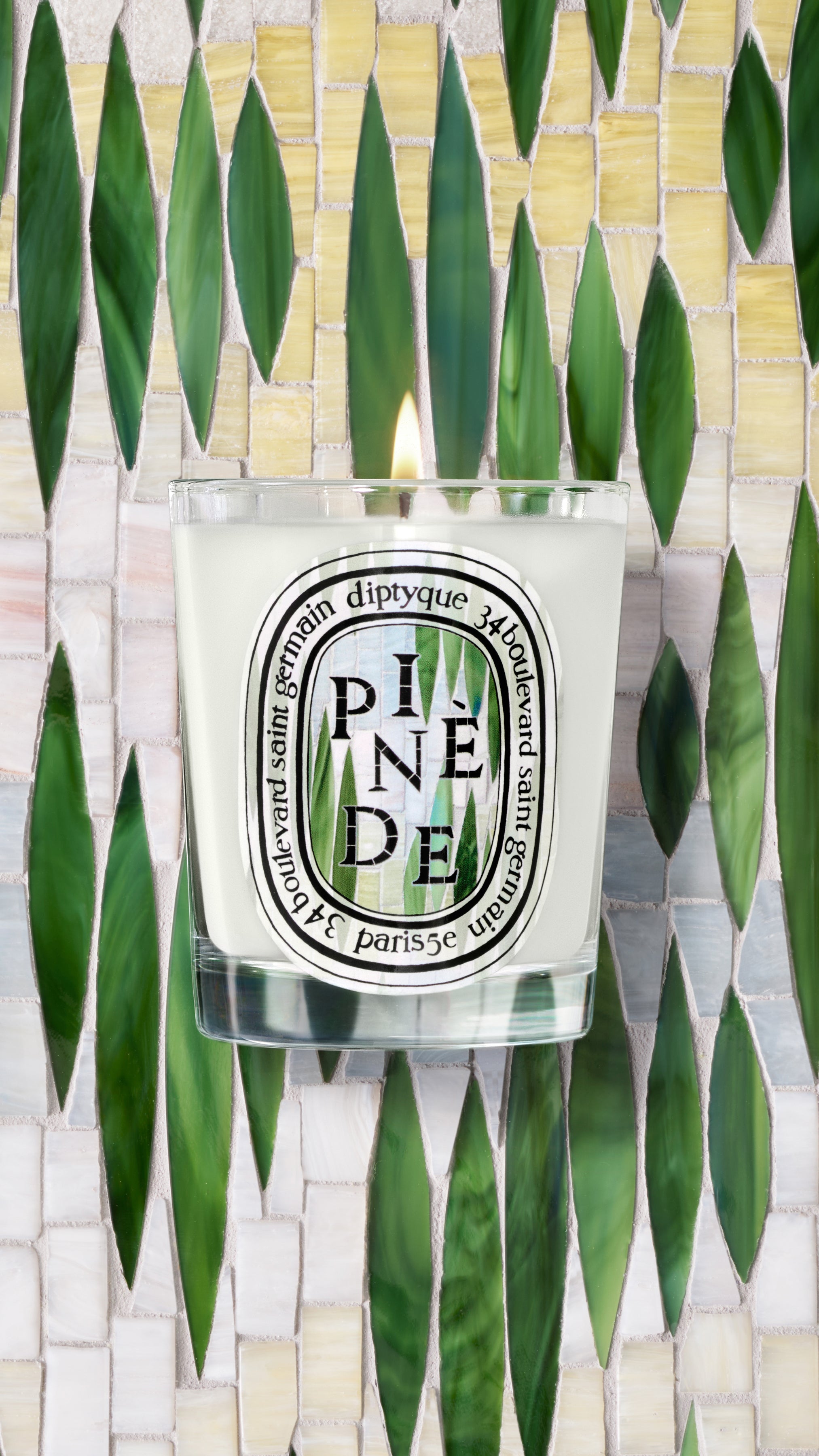 【新品未使用】Diptyque PINÈDE キャンドル 190g Pinède (Pine Grove) - Classic Candle – Diptyque
