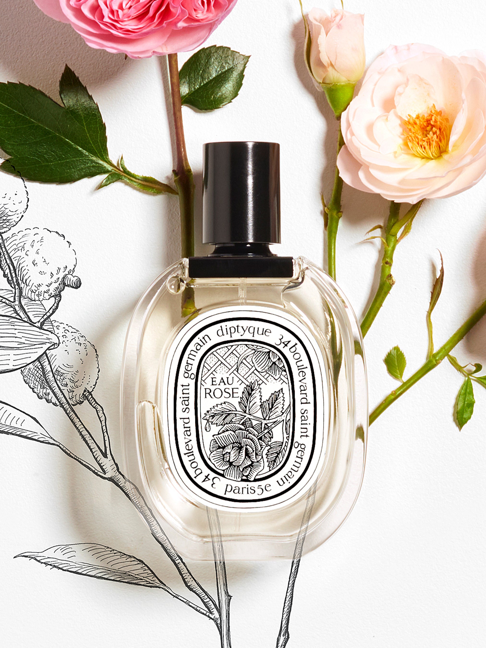 diptyque EAU ROSE オードトワレ 50ml Eau Rose Eau de Toilette 50ml | Diptyque Paris