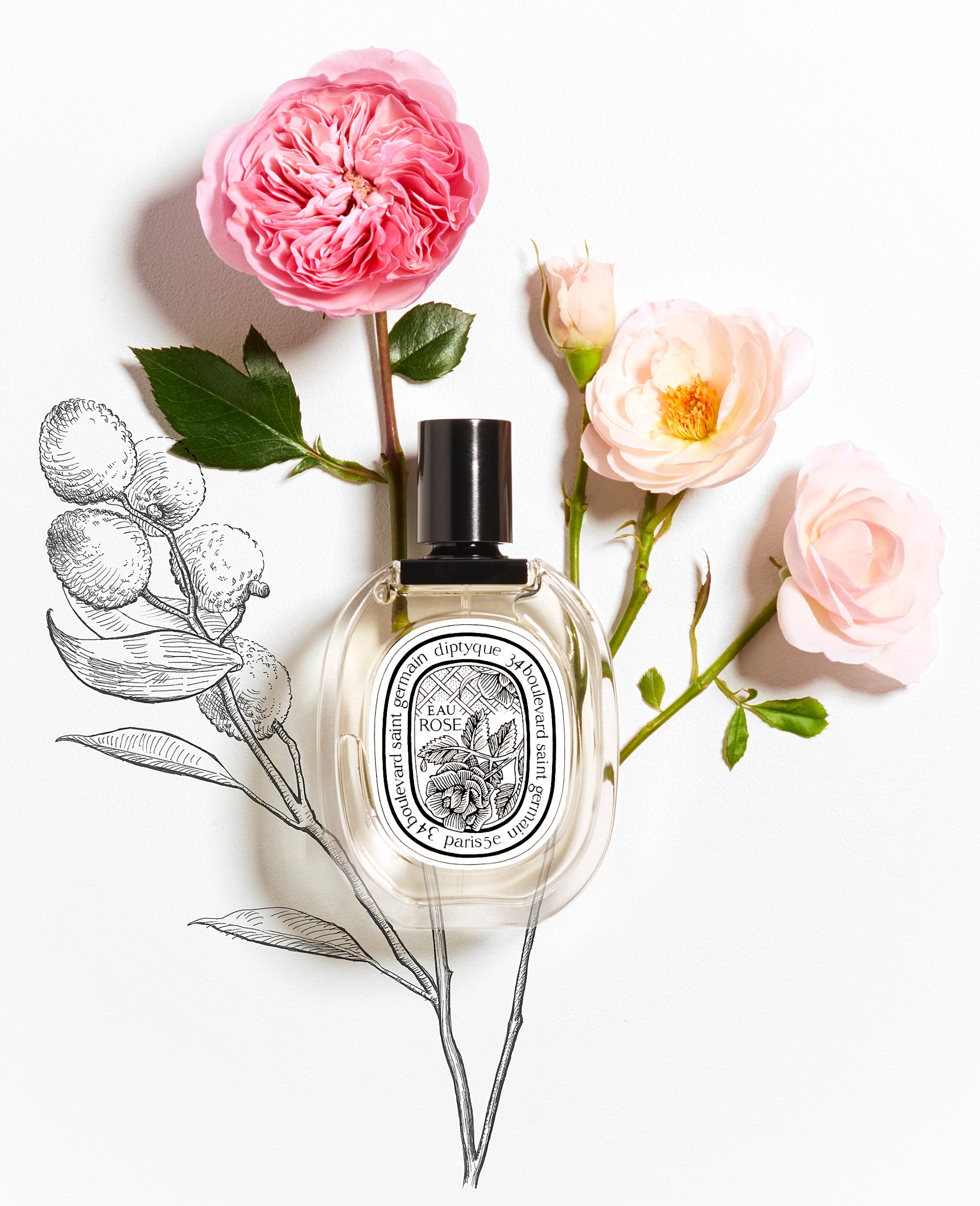 Eau Rose Fragrance Collection | Diptyque Paris