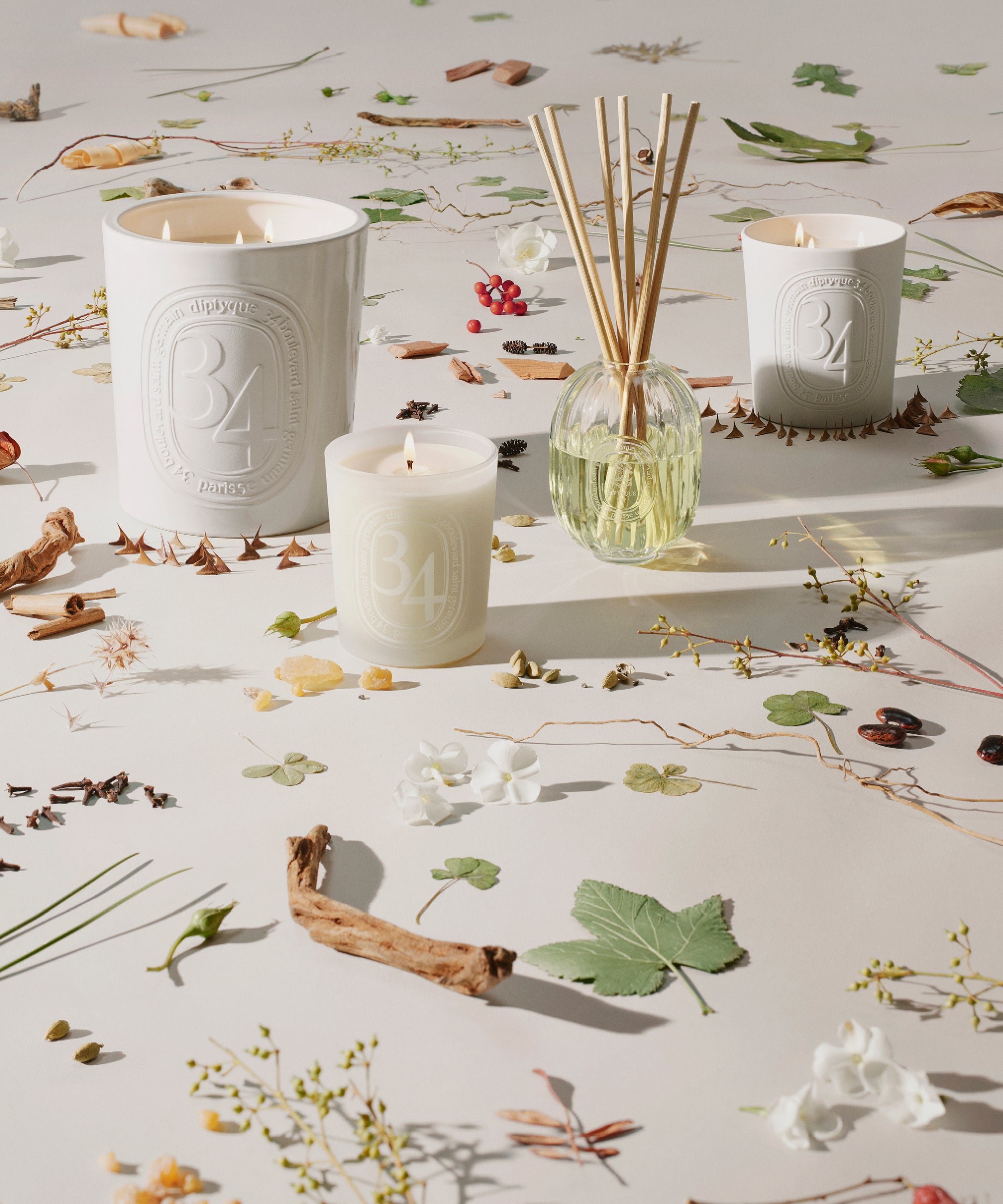 34 Boulevard Saint-Germain Home Fragrance Collection | Diptyque Paris