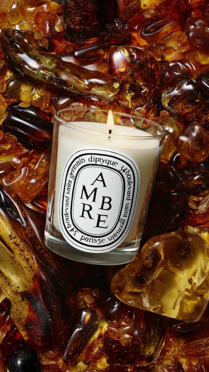 Ambre (Amber) - Small Candle – Diptyque Ambre (Amber) - Small Candle – Diptyque