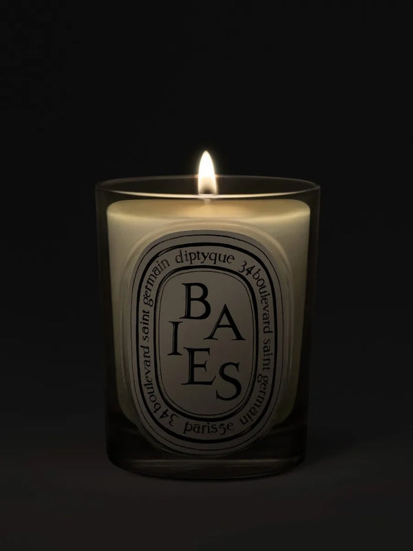 Baies (Berries) - Classic candle