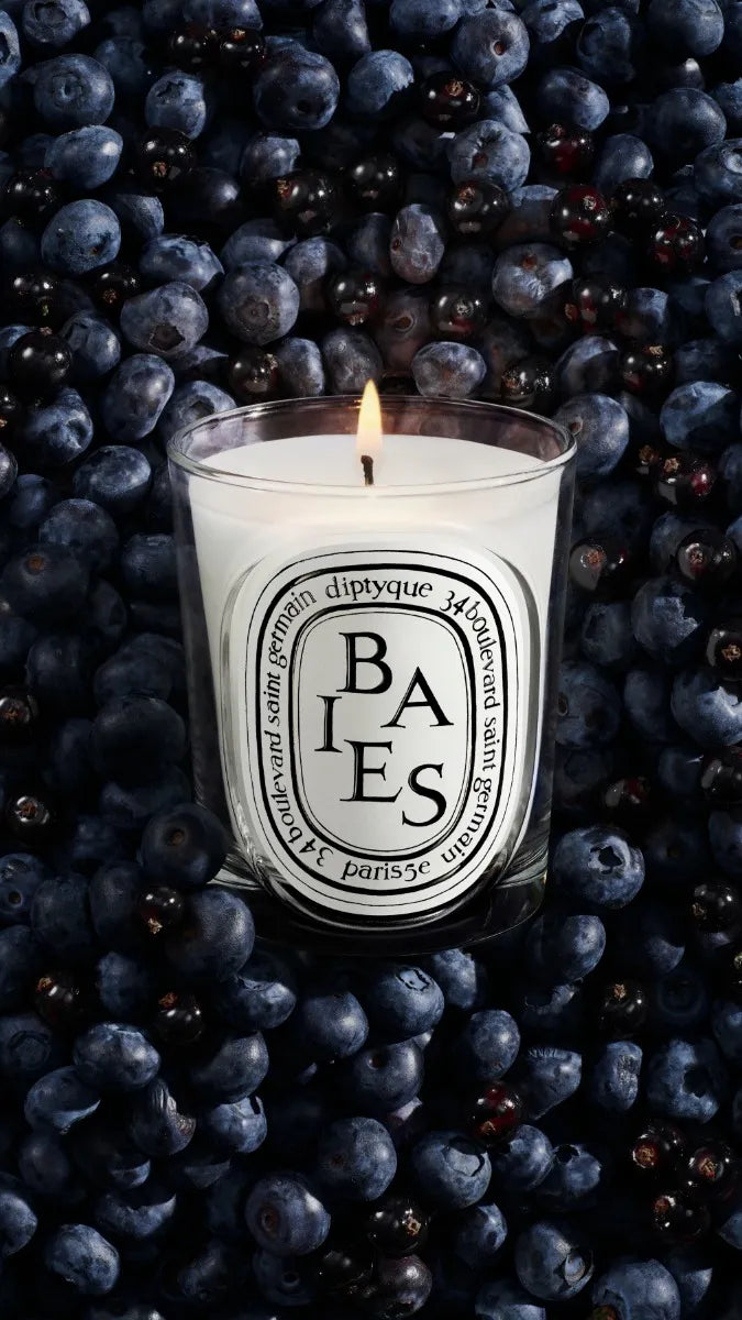 Baies (Berries) - Refill for classic candles