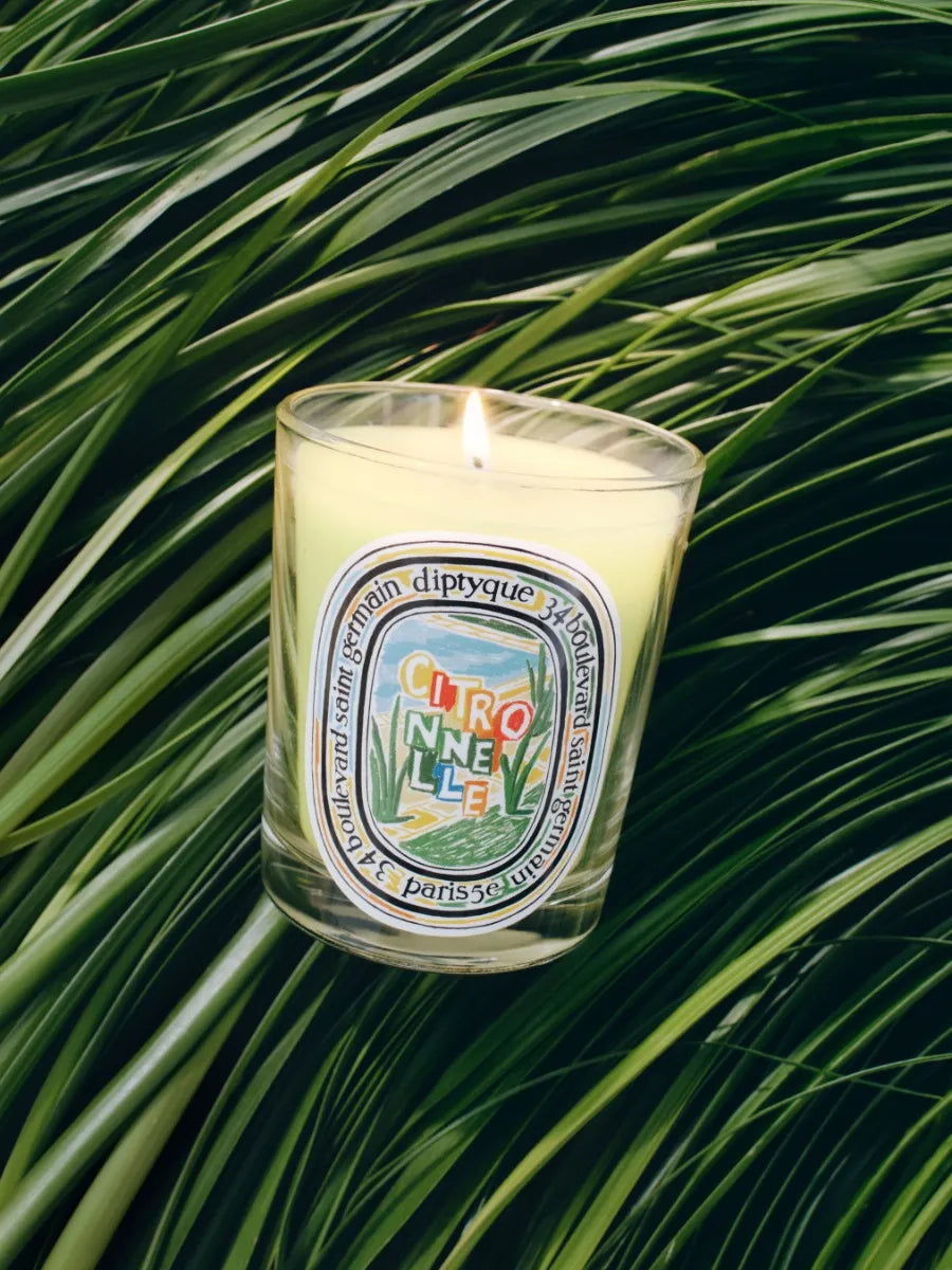 Citronnelle (Lemongrass) - Classic Candle