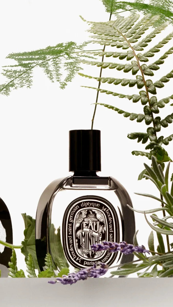 diptyque Eau de Minthé 75ml BOX・袋・サンプル付 diptyque-eauminthe-edp-