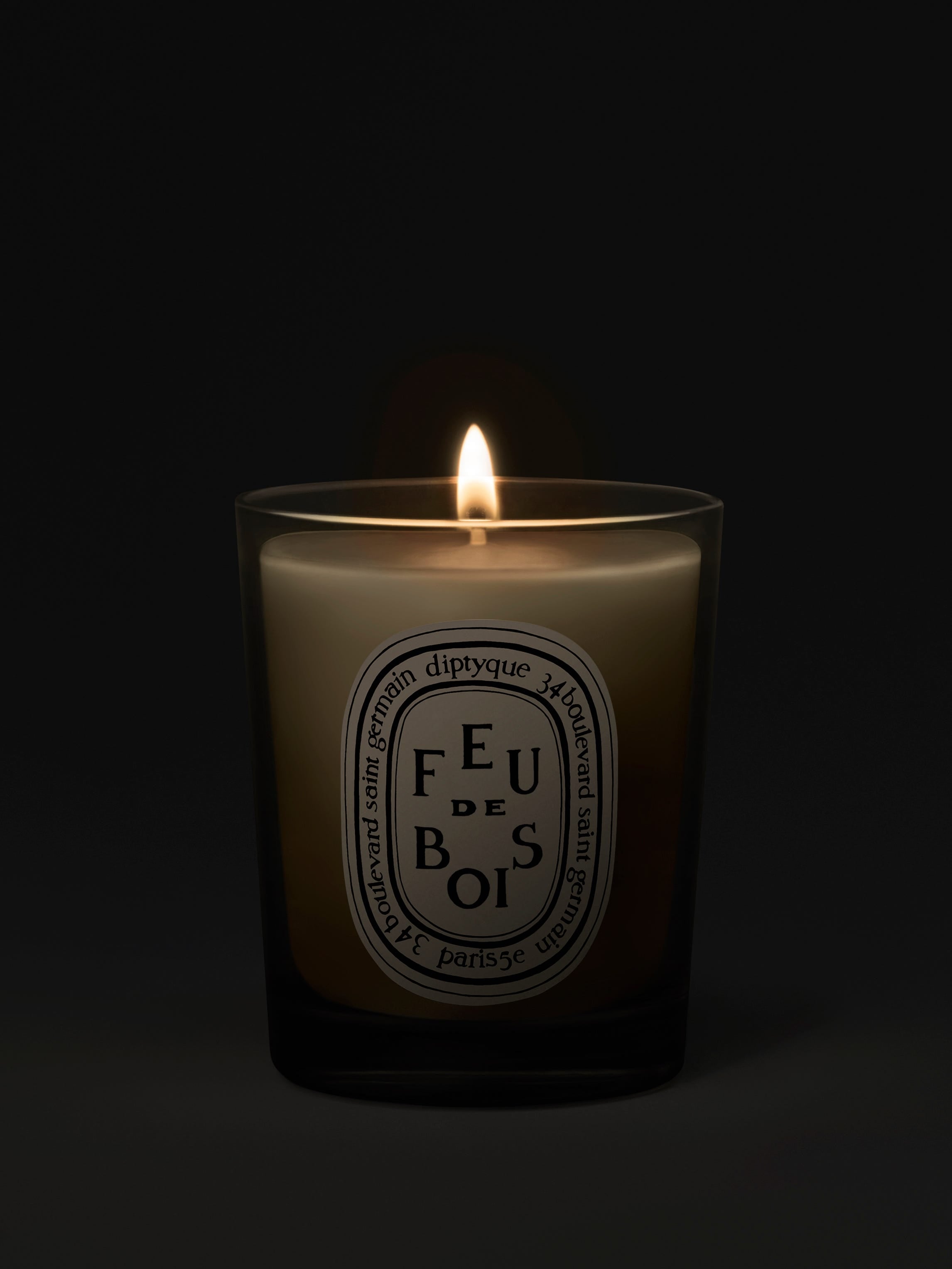 Feu de Bois (Wood Fire) - Small Candle – Diptyque