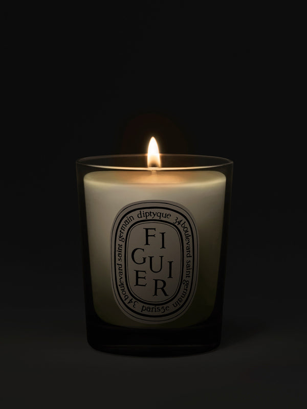 Figuier (Fig Tree) - Small Candle